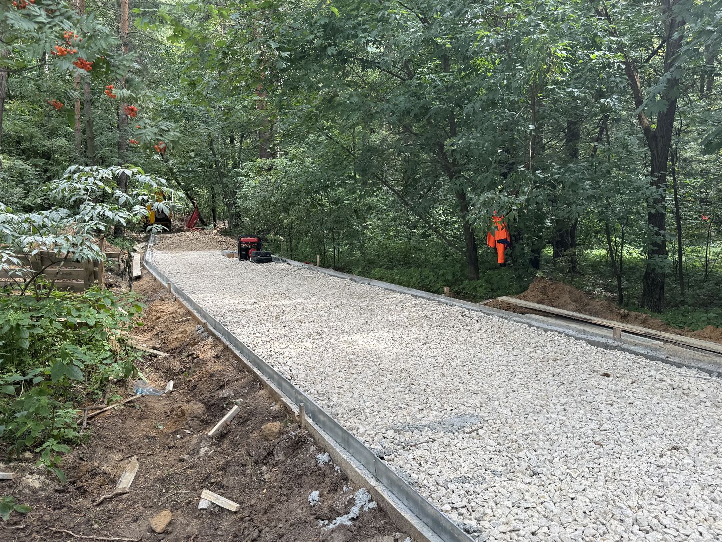 люберцы, томилинский лесопарк, Благоустройство ,