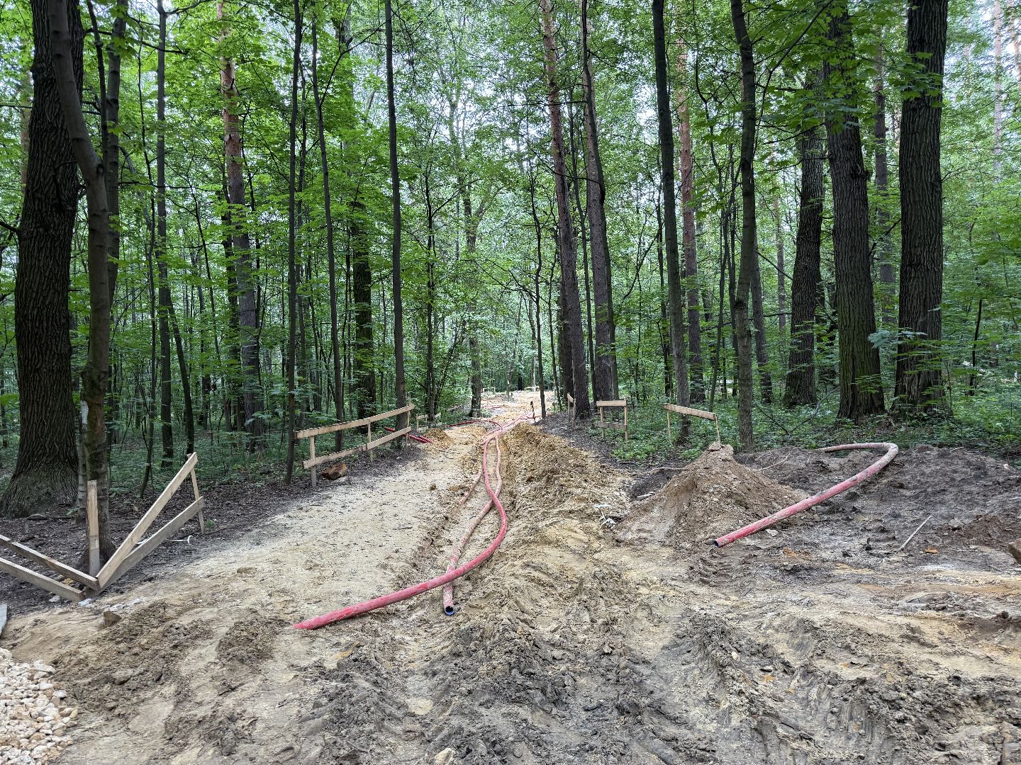 люберцы, томилинский лесопарк, Благоустройство ,