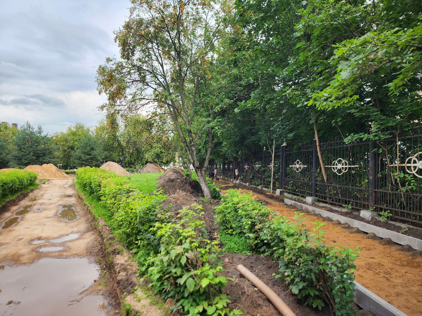 королёв, благоустройство , сквер имени чмырева,