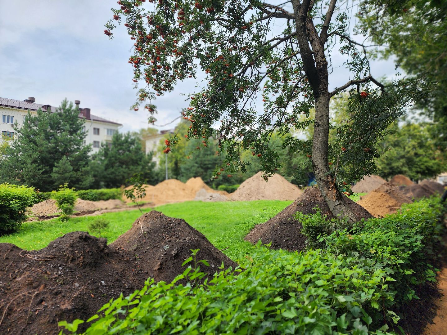 королёв, благоустройство , сквер имени чмырева,