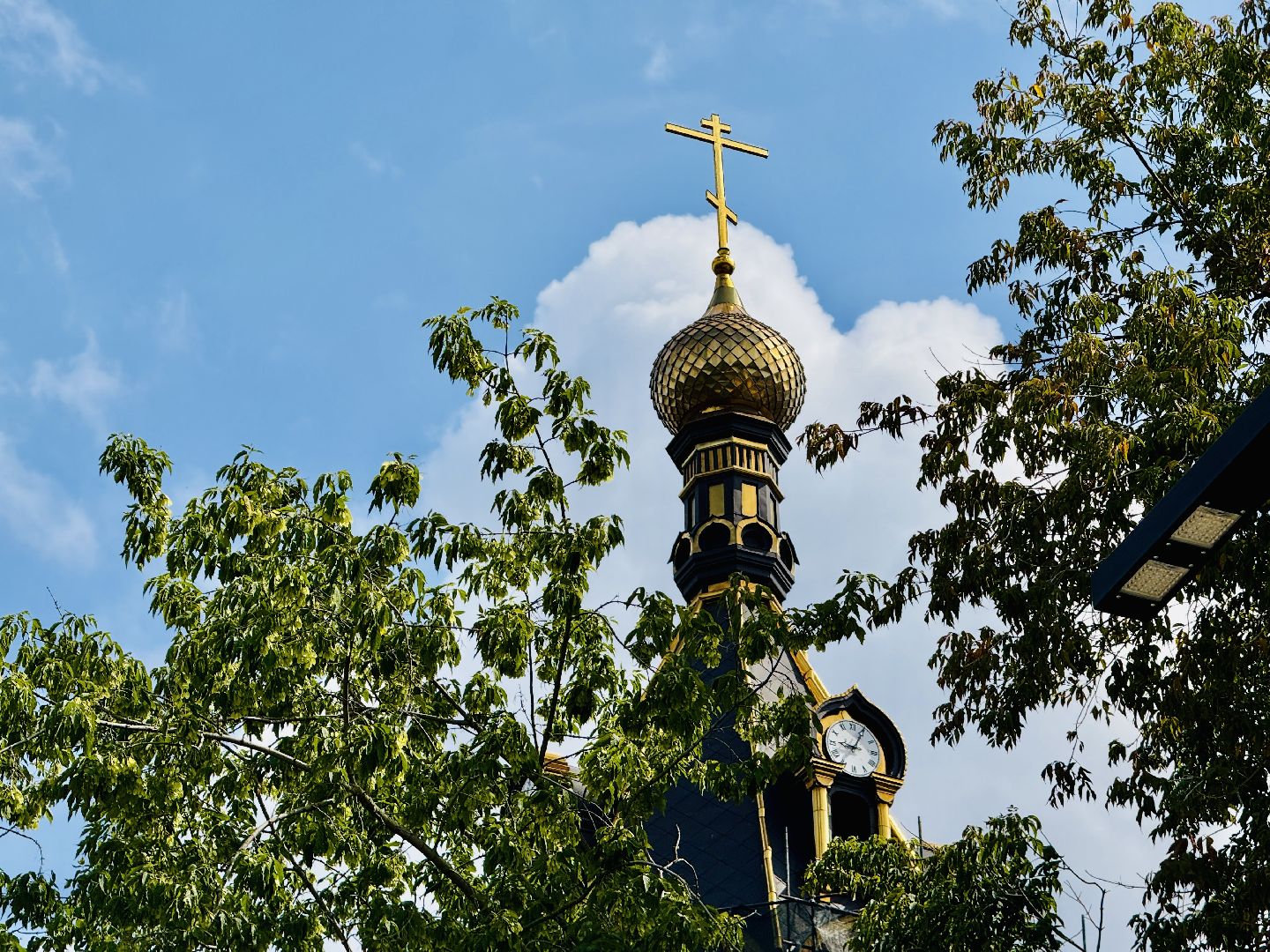 раменское, молодежный центр, гуманитарная помощь, гуманитарная помощь сво,