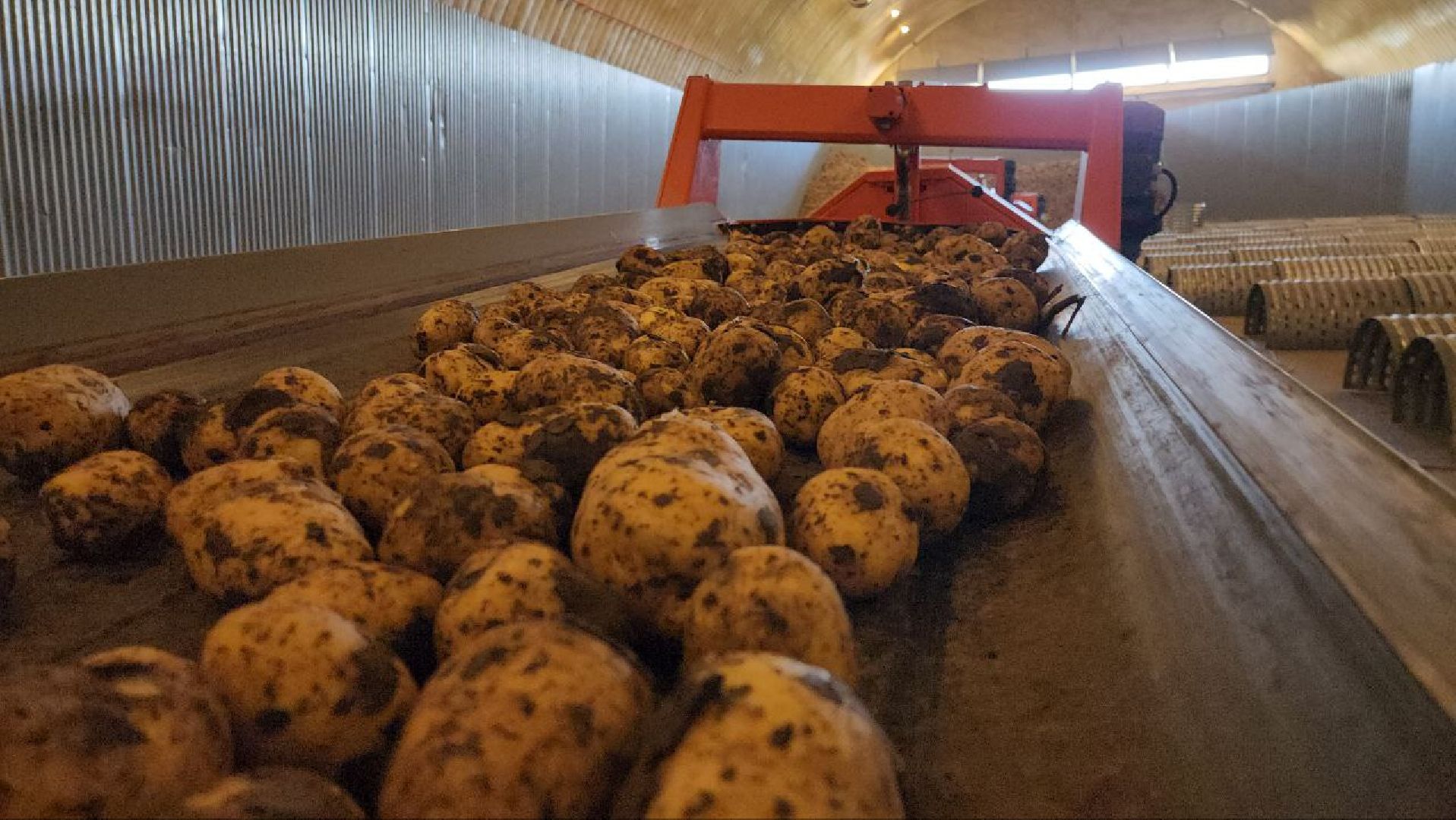 Луховицкие аграрии, сельское хозяйство,