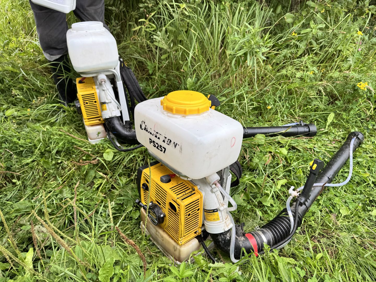 шаховская, обработка от борщевика, борщевик сосновского,