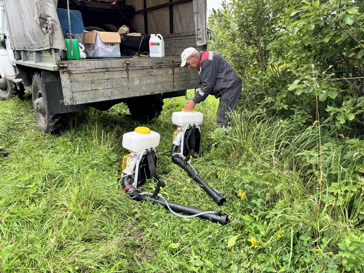 шаховская, обработка от борщевика, борщевик сосновского,