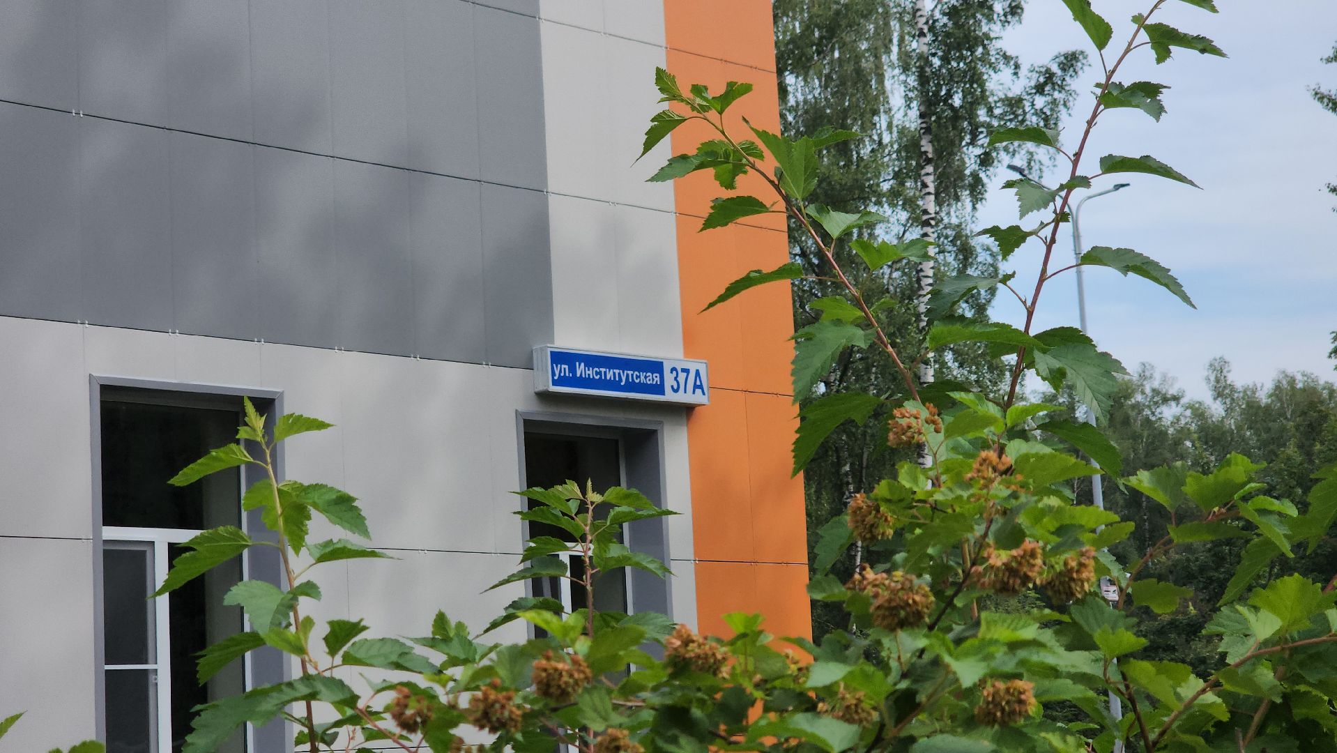 щёлково, ремонт школы, Обновленный лицей, завершение ремонта,