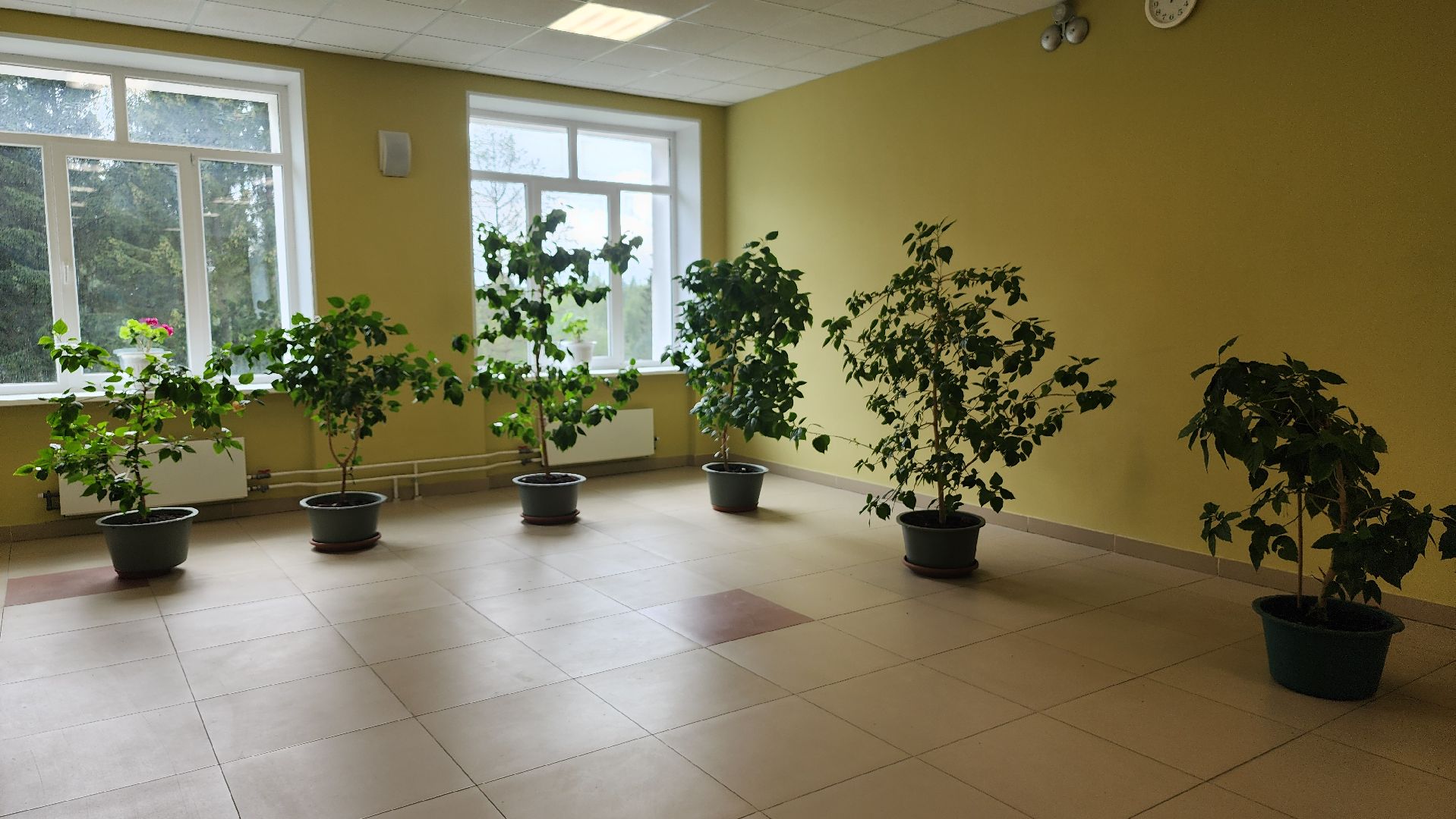 волоколамск, чисмена, подготовка к 1 сентября,