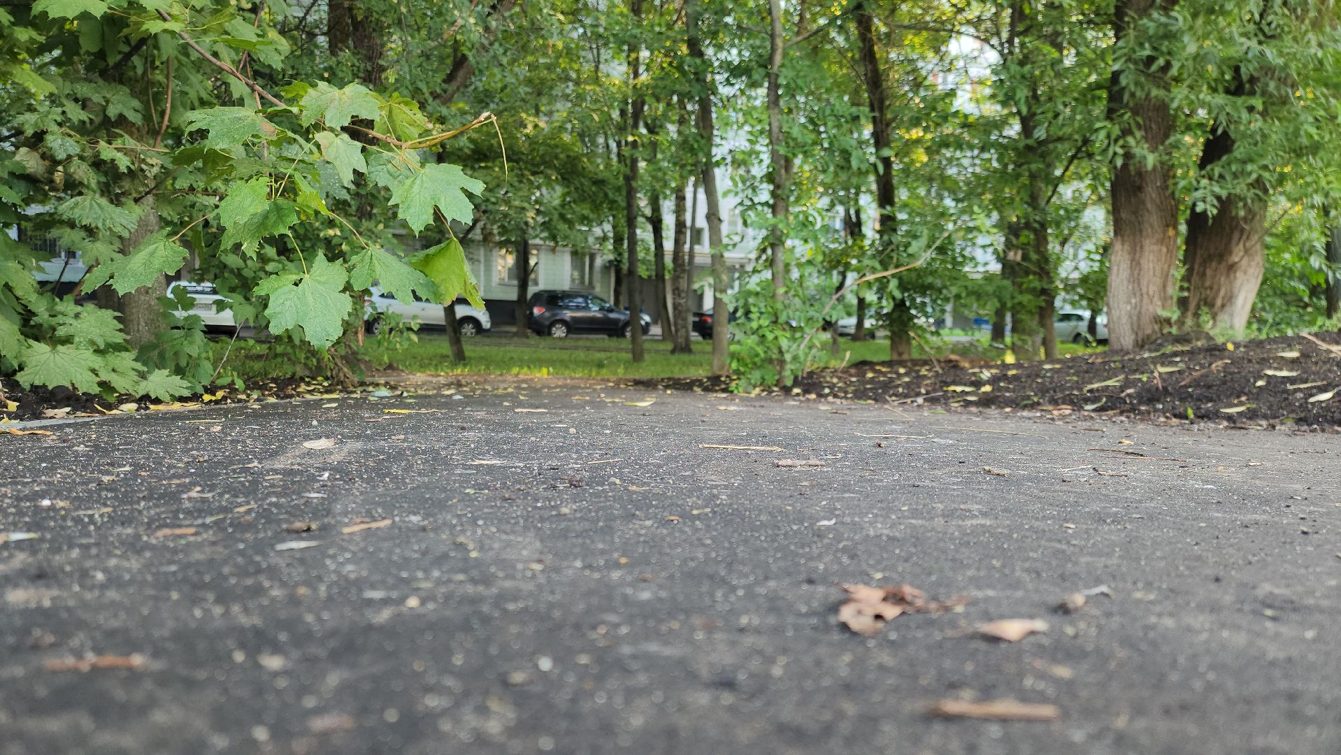 Химки, Благоустройство , Дороги,