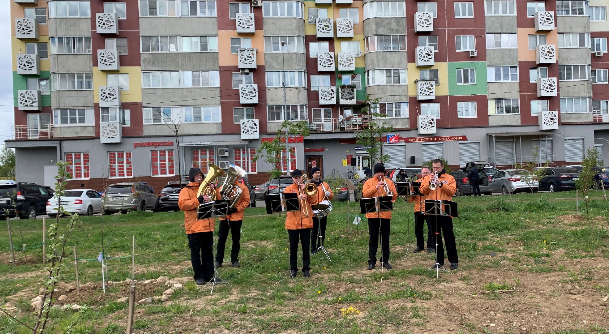 Лобня, благоустройство, дерево
