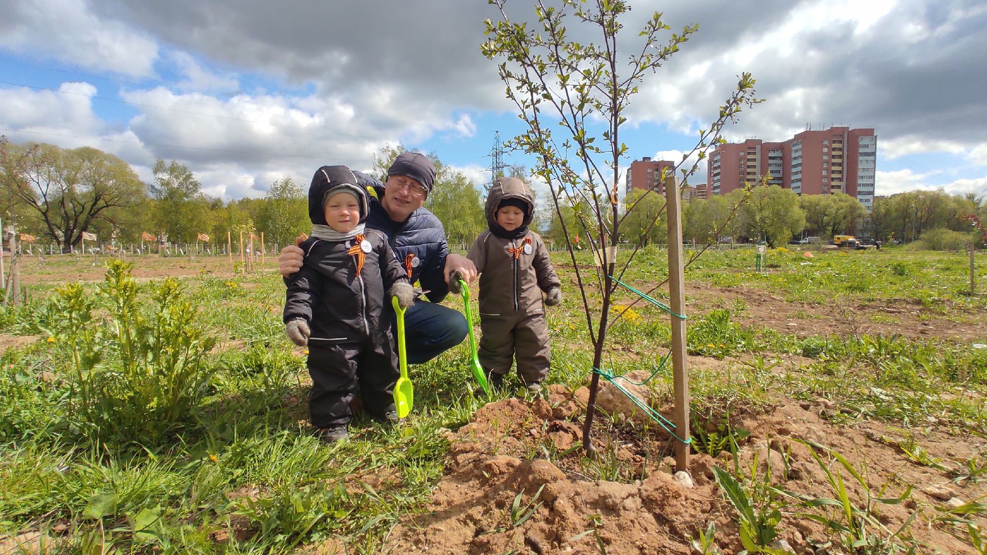 Лобня, благоустройство, дерево