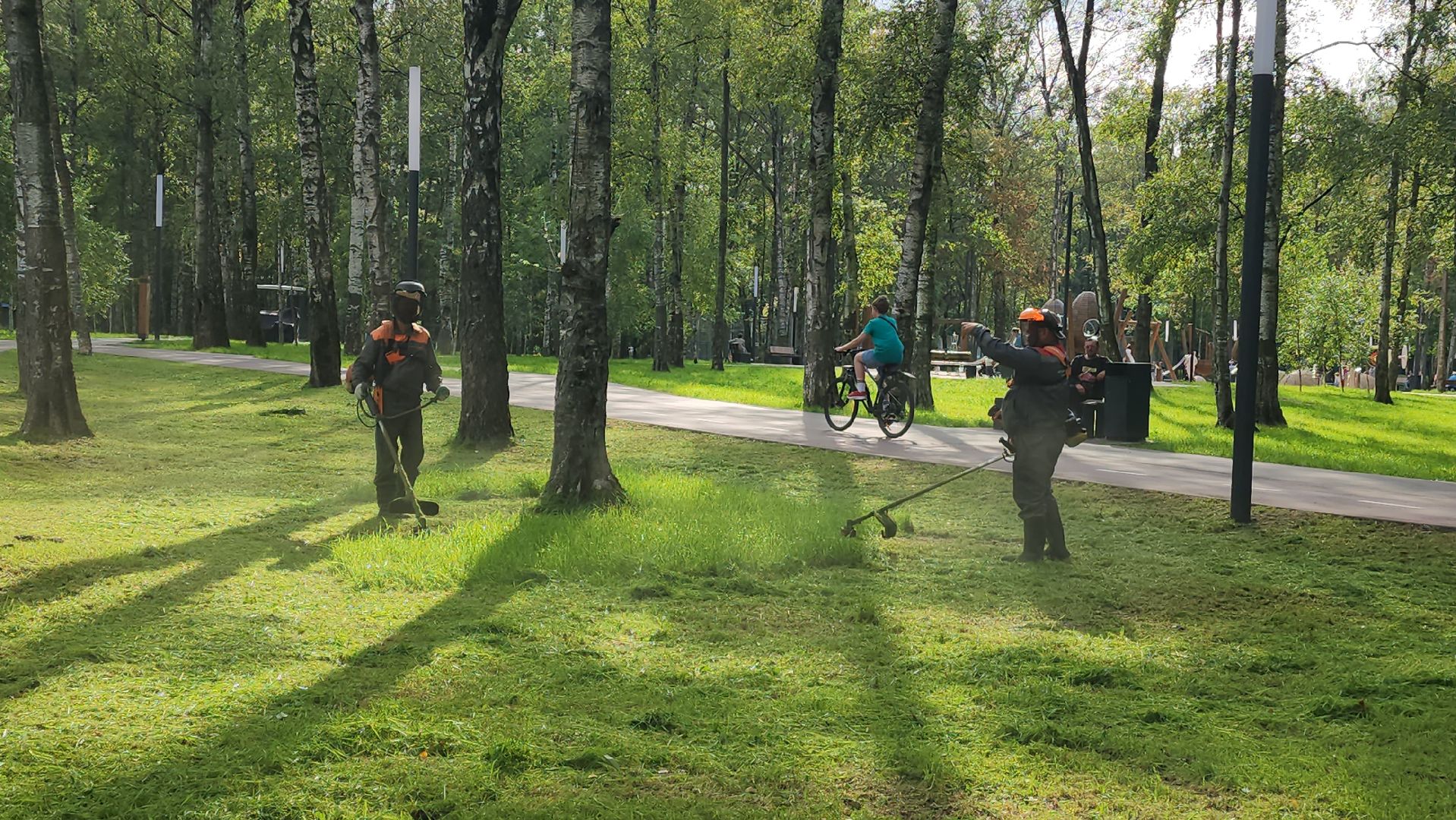 Покос травы, Благоустройство газонов, уборка листвы, Лобня, Парк,