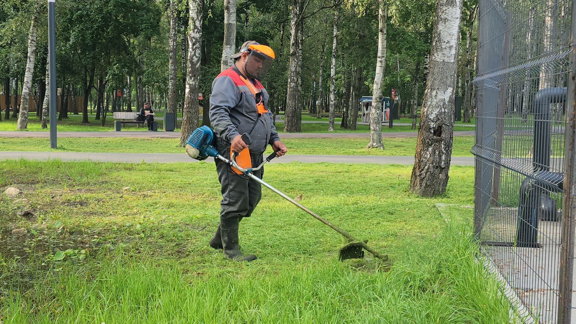 Покос травы, Благоустройство газонов, уборка листвы, Лобня, Парк,