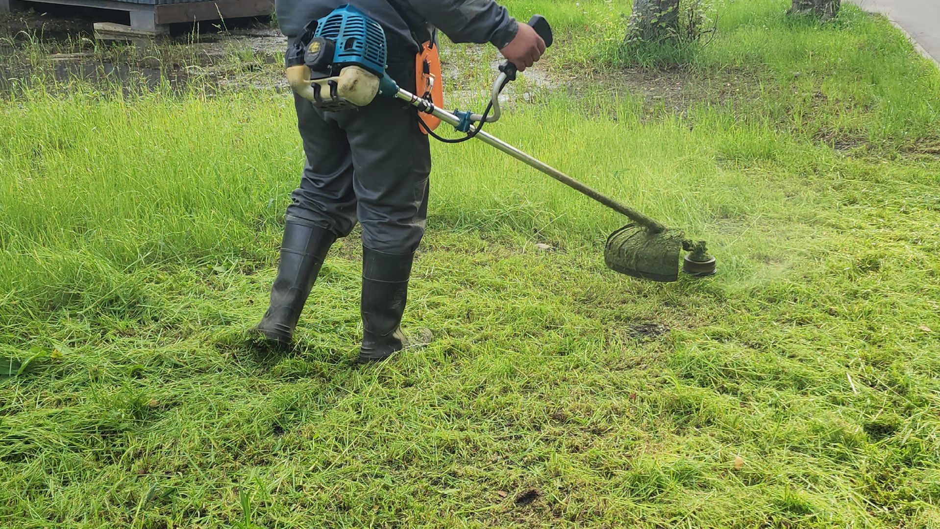 Покос травы, Благоустройство газонов, уборка листвы, Лобня, Парк,