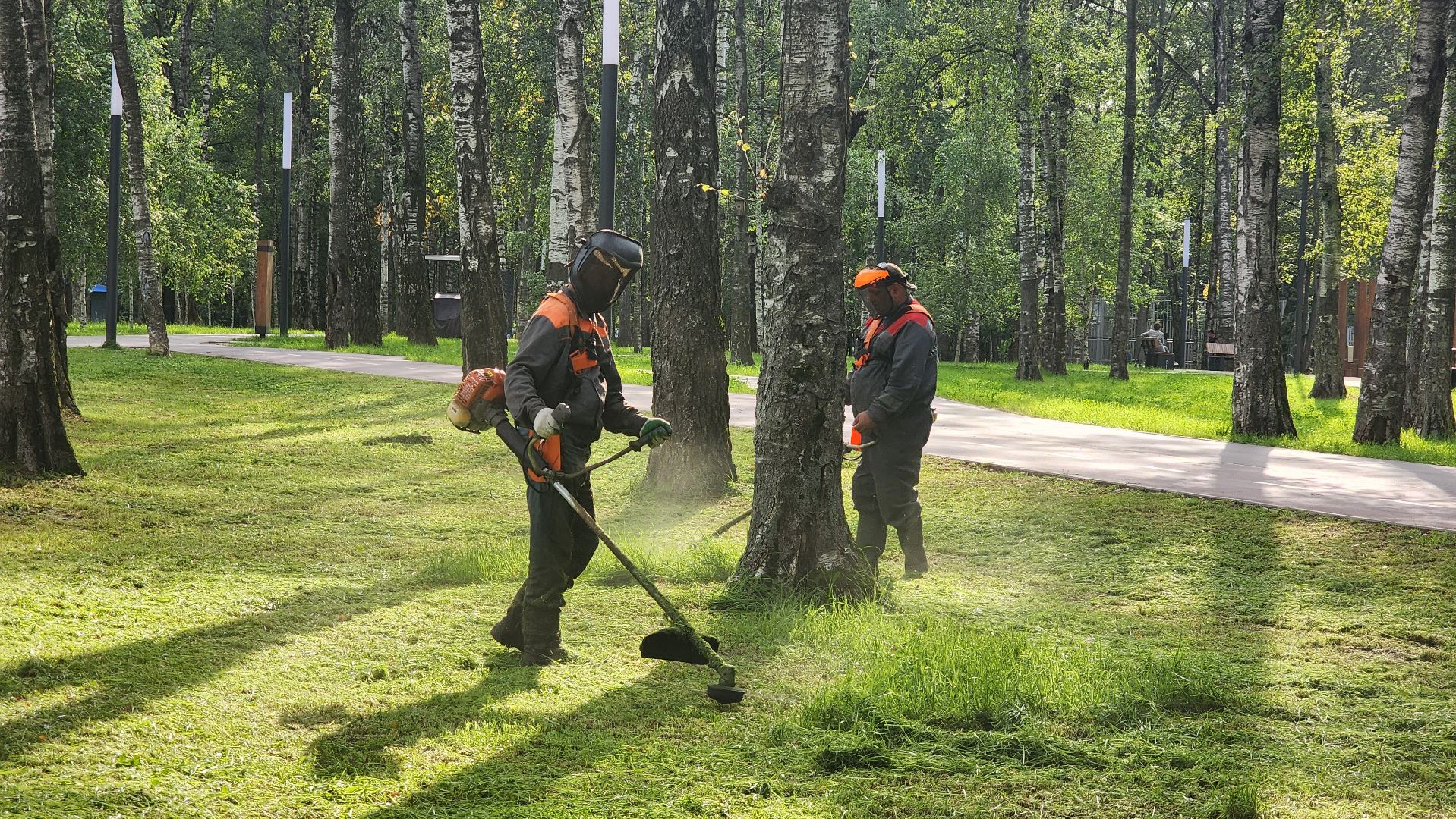 Покос травы, Благоустройство газонов, уборка листвы, Лобня, Парк,