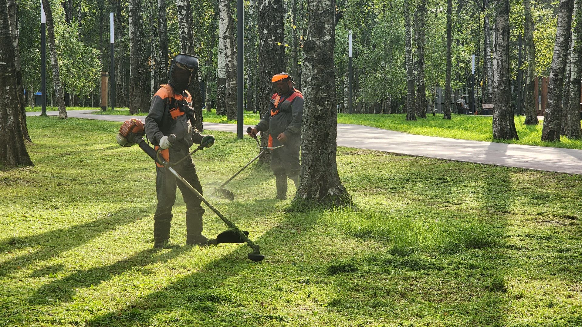 Покос травы, Благоустройство газонов, уборка листвы, Лобня, Парк,
