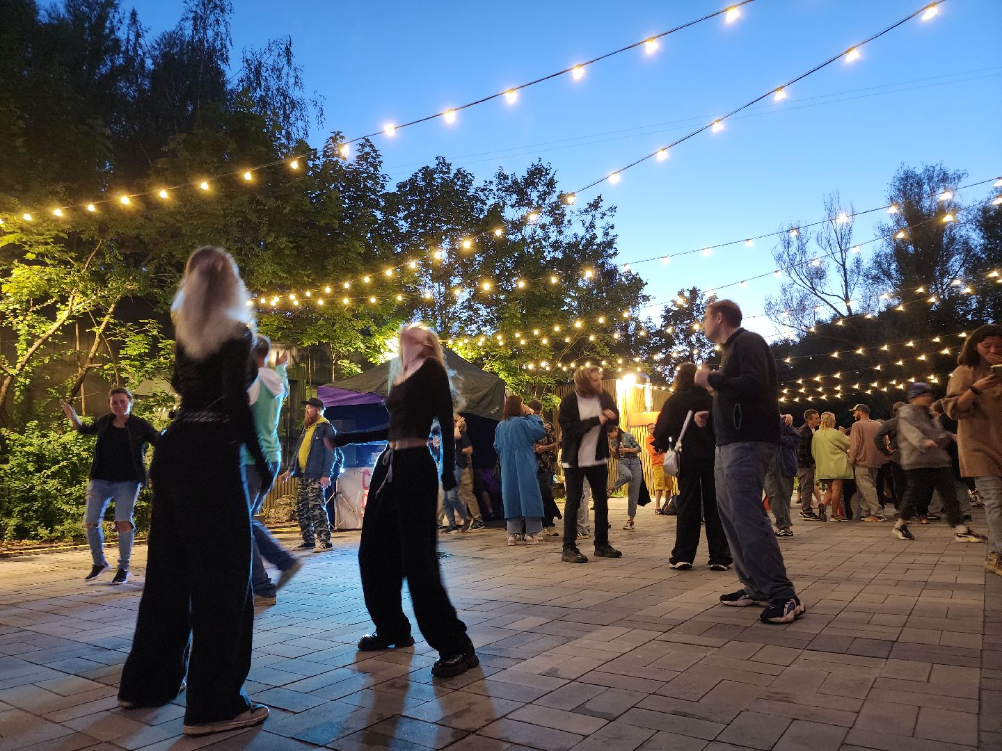 Черноголовка, Фестиваль, электронная музыка,