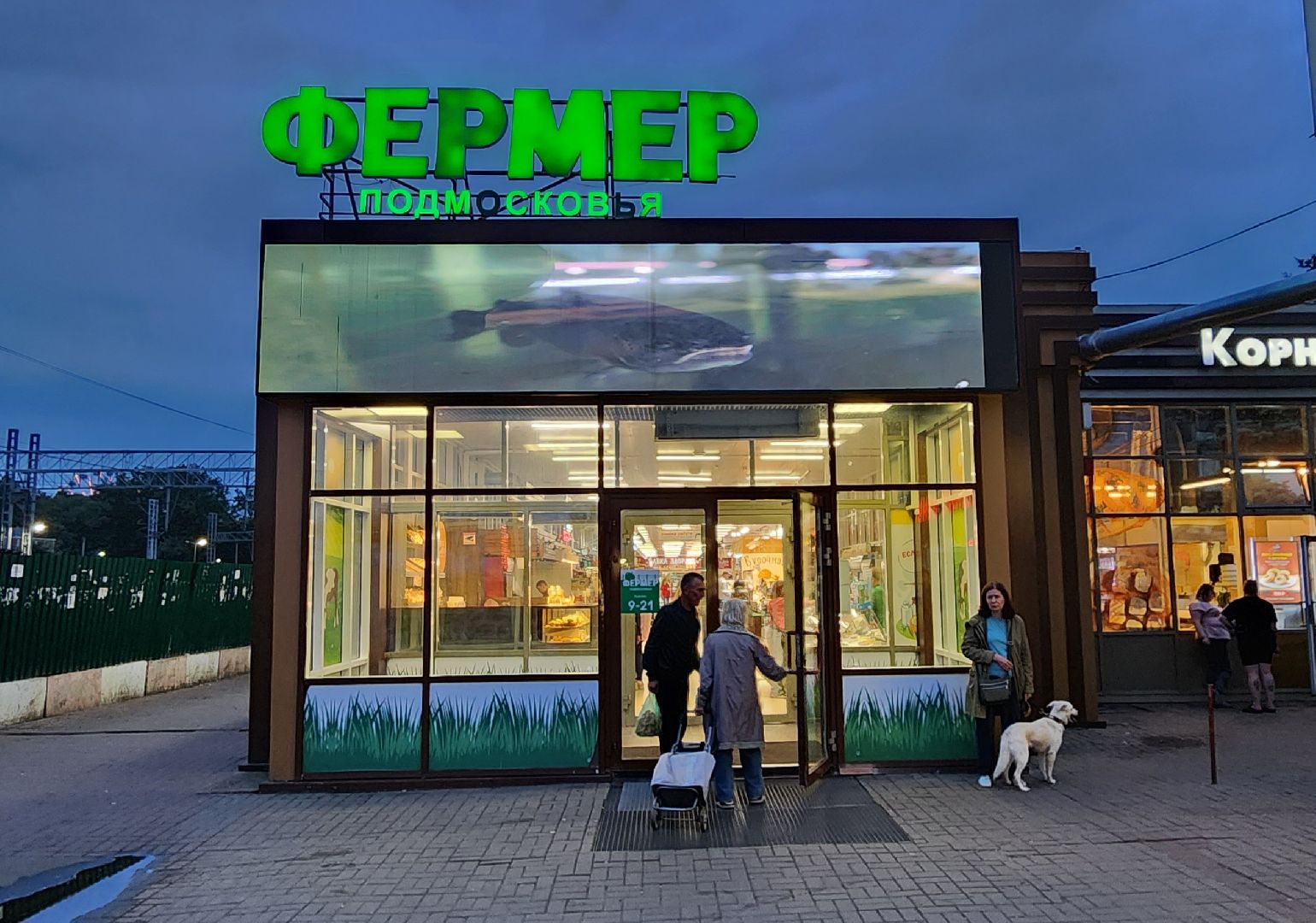 бахчевые развалы, арбуз, дыни и арбузы,