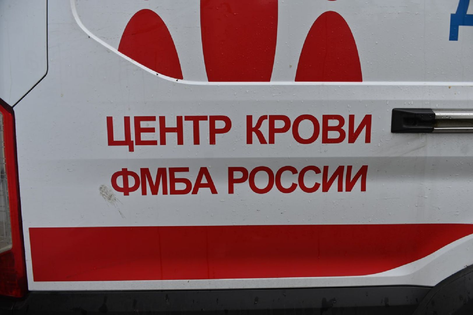сергиев посад, сергиево-посадский городской округ, скитские пруды, парк скитские пруды, донор, донорство, донорство костного мозга, донор крови,