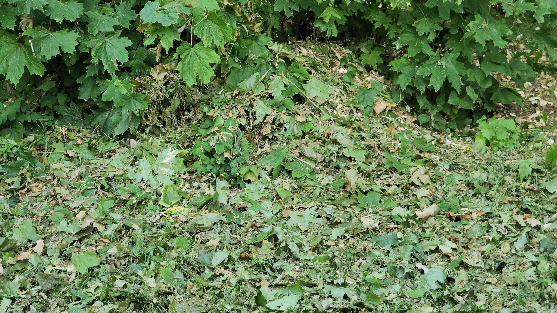 Егорьевск , Подмосковье , Московская область ,