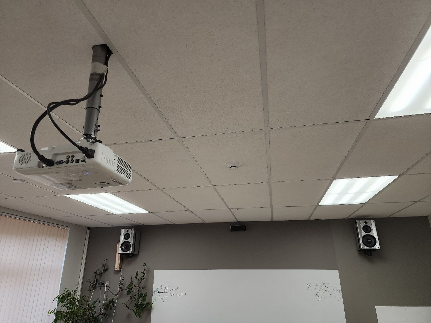 черноголовка, Образование, черноголовская сош,