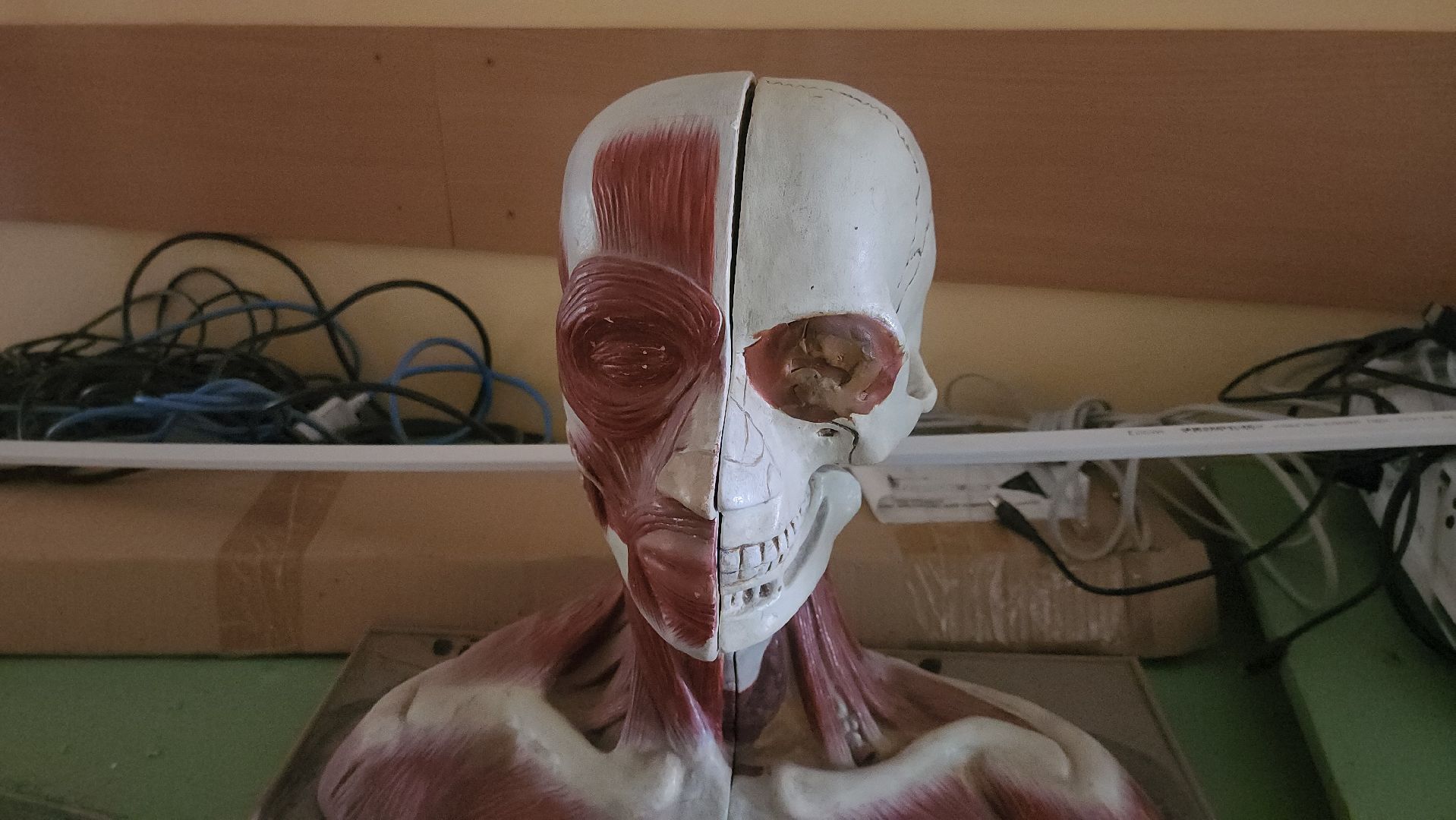 луховицы, дединово, школа-интернат, спк имени ленина, агроклассы,