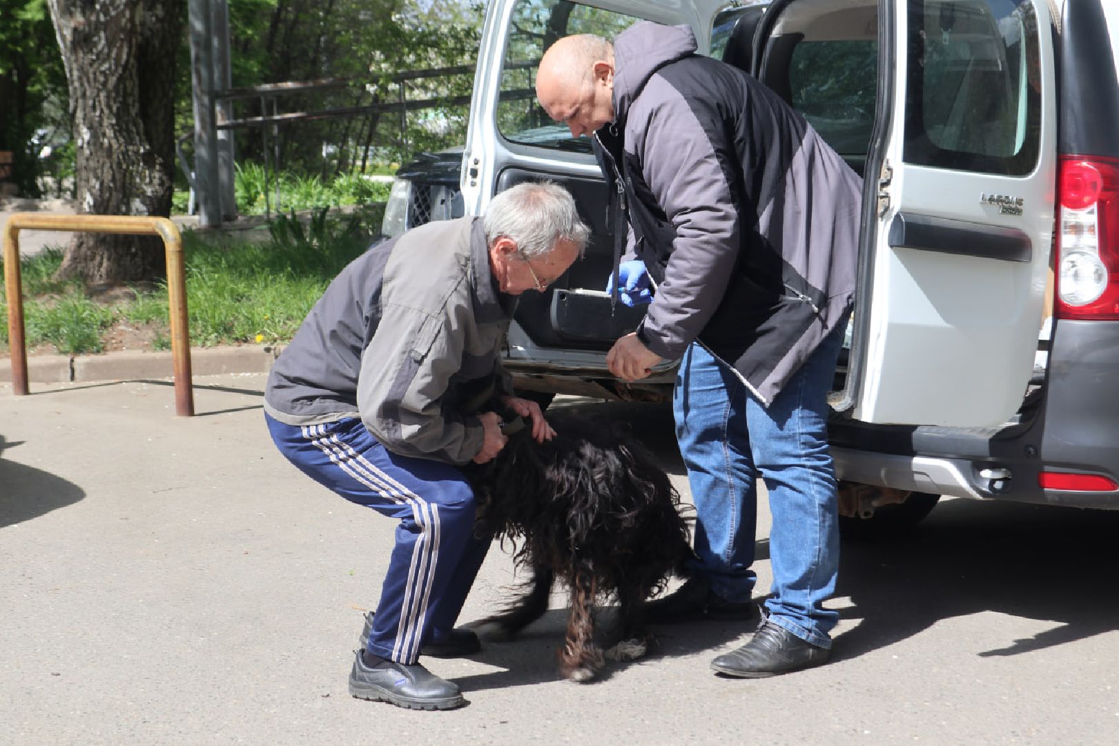 Пущино, вакцинация, бешенство