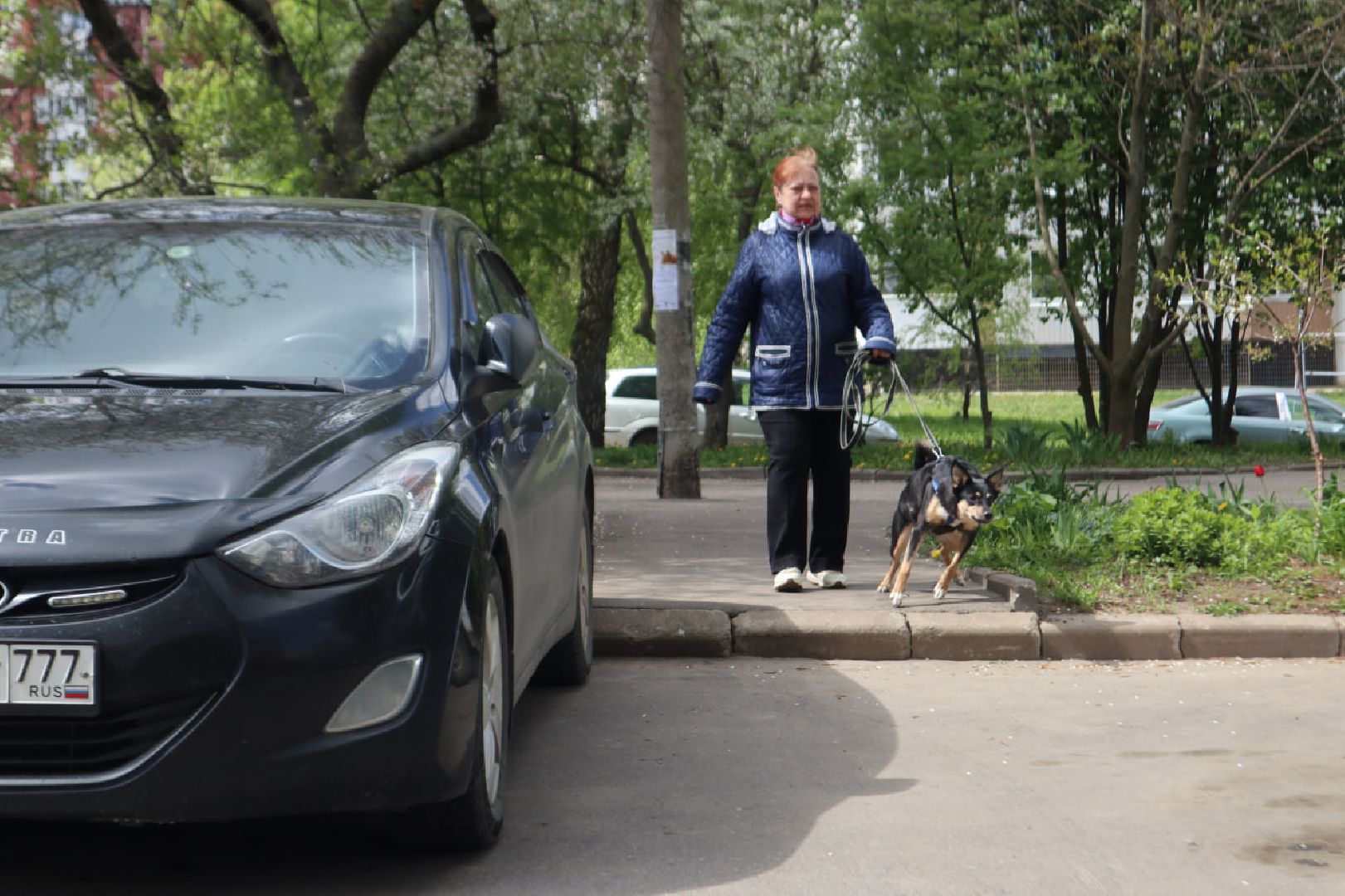 Пущино, вакцинация, бешенство