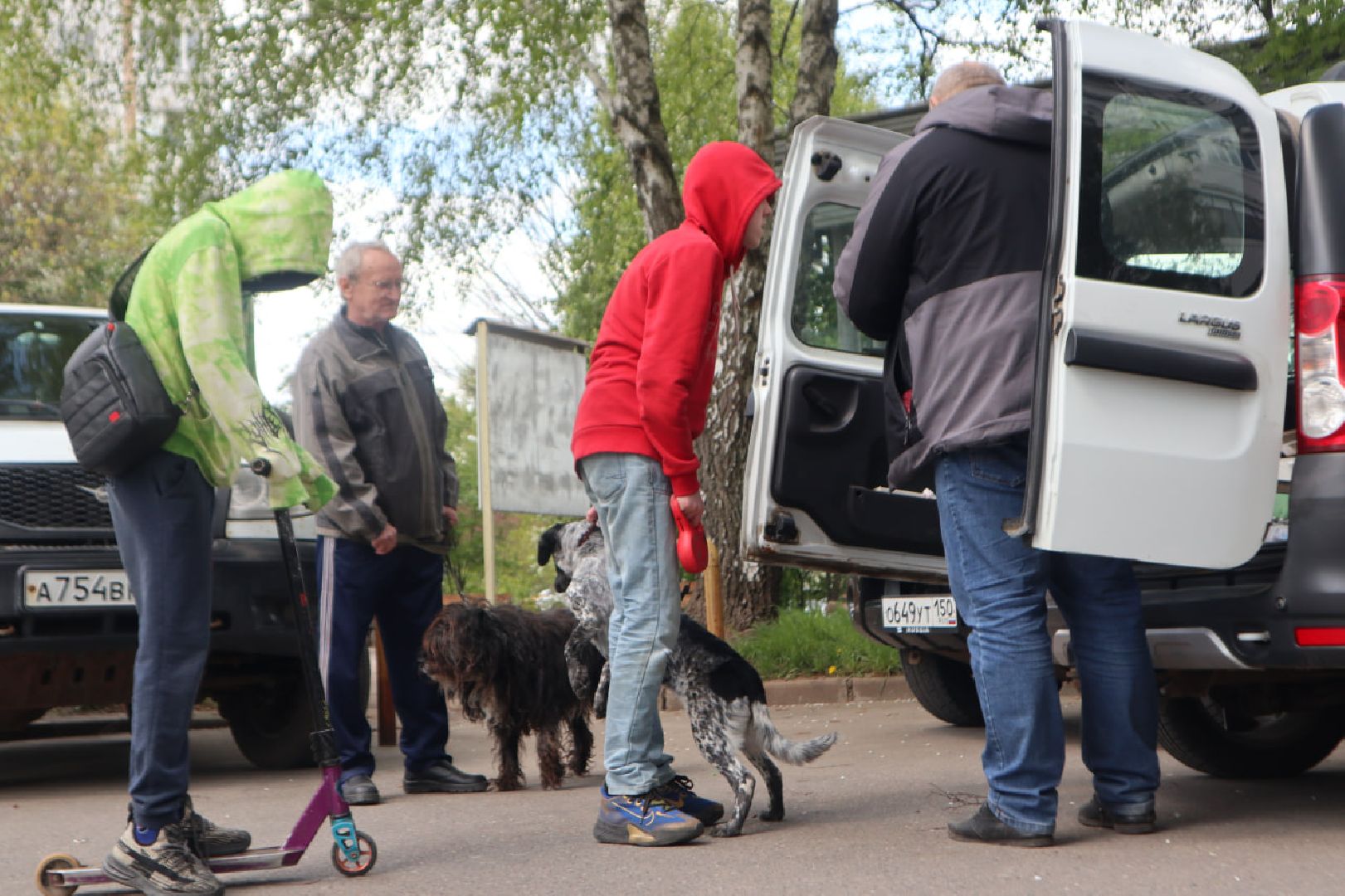 Пущино, вакцинация, бешенство