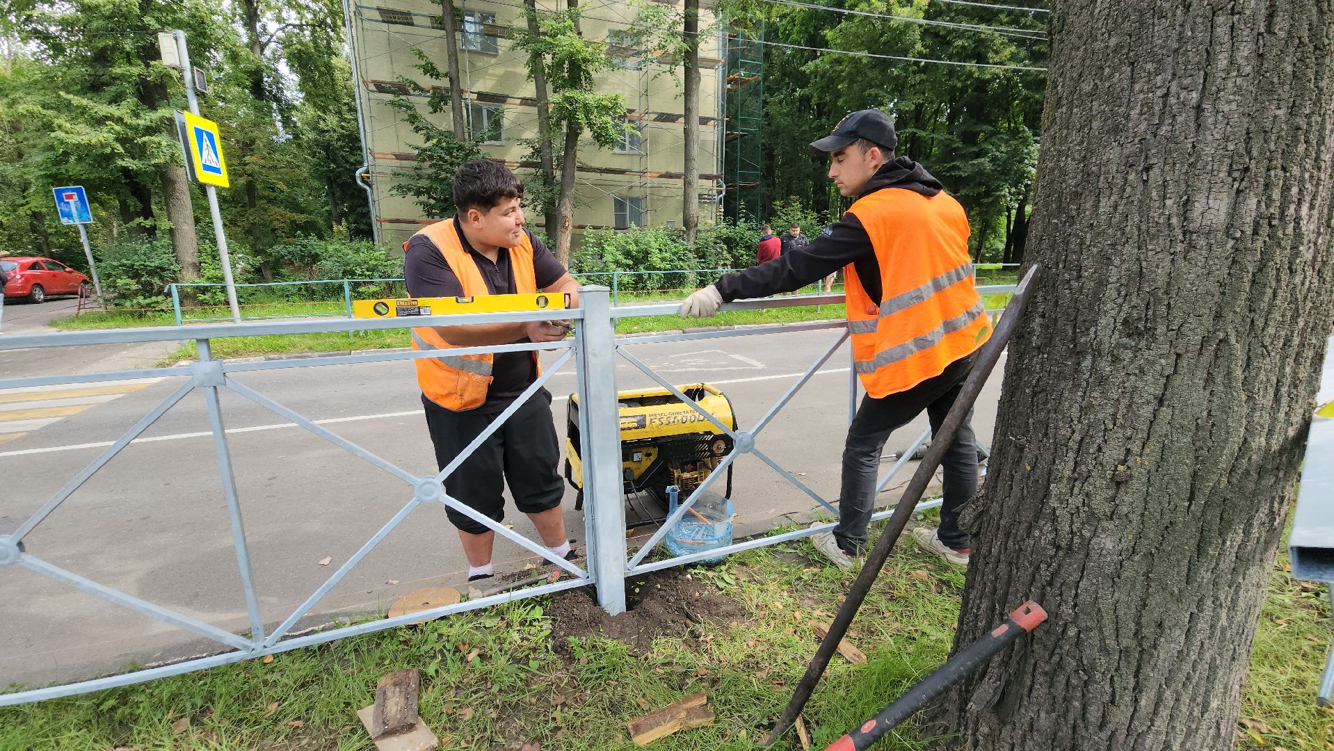 дорожные ограждения, пешеходный переход, Лобня , образовательные учреждения,