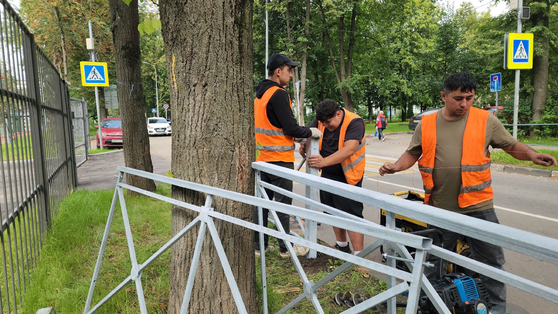 дорожные ограждения, пешеходный переход, Лобня , образовательные учреждения,