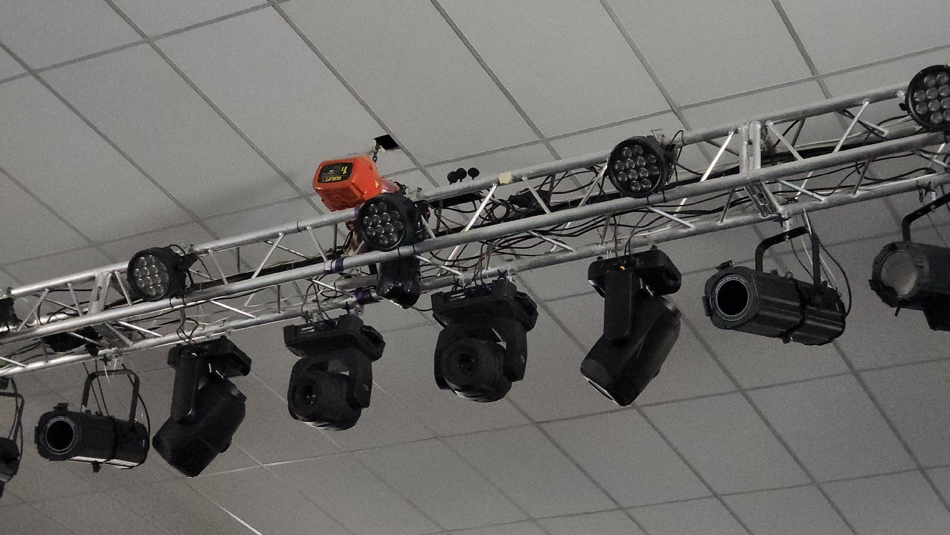 щёлково, Хвостатый актер, Собака-актер, Собака на сцене,