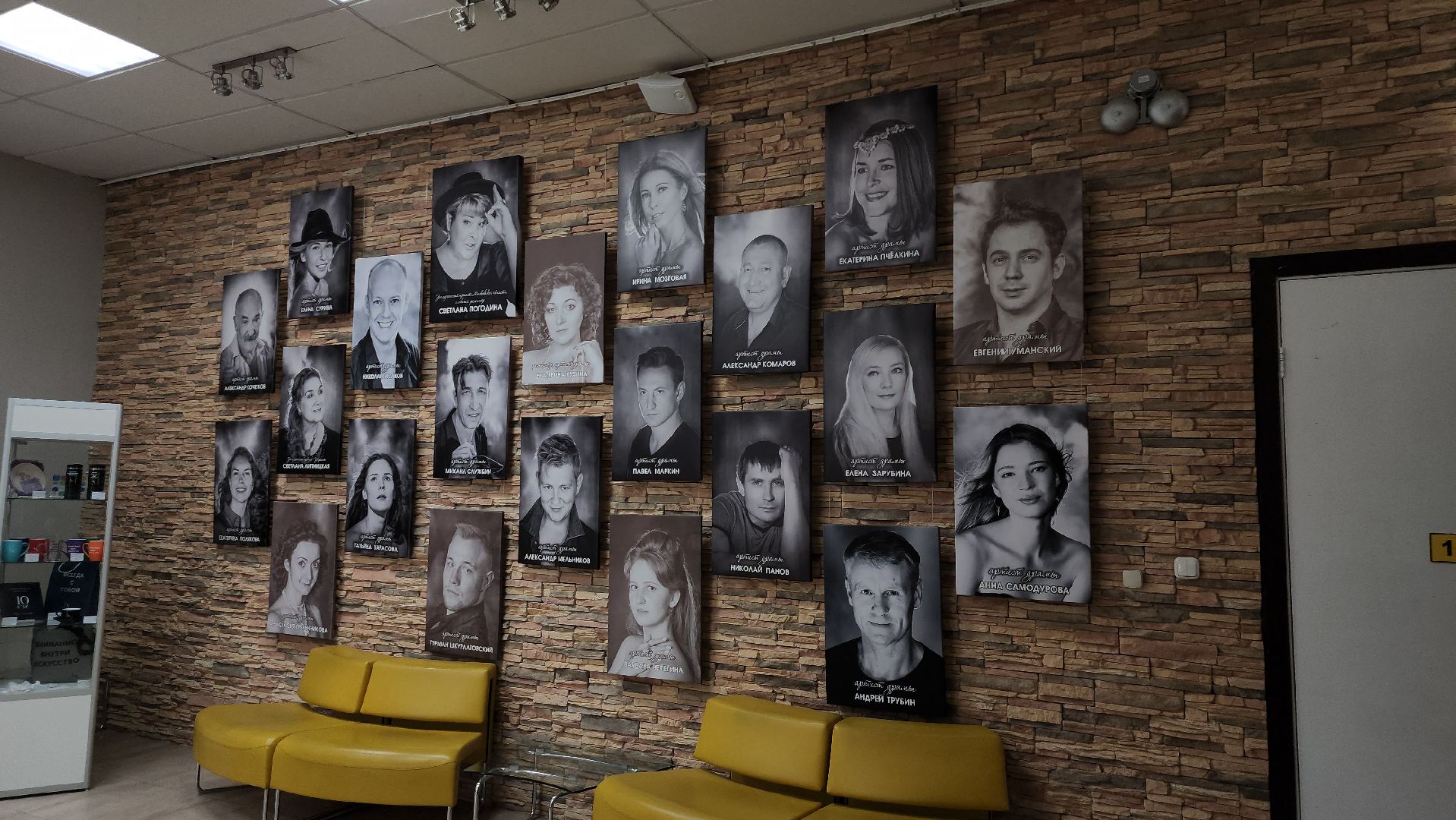 щёлково, Хвостатый актер, Собака-актер, Собака на сцене,