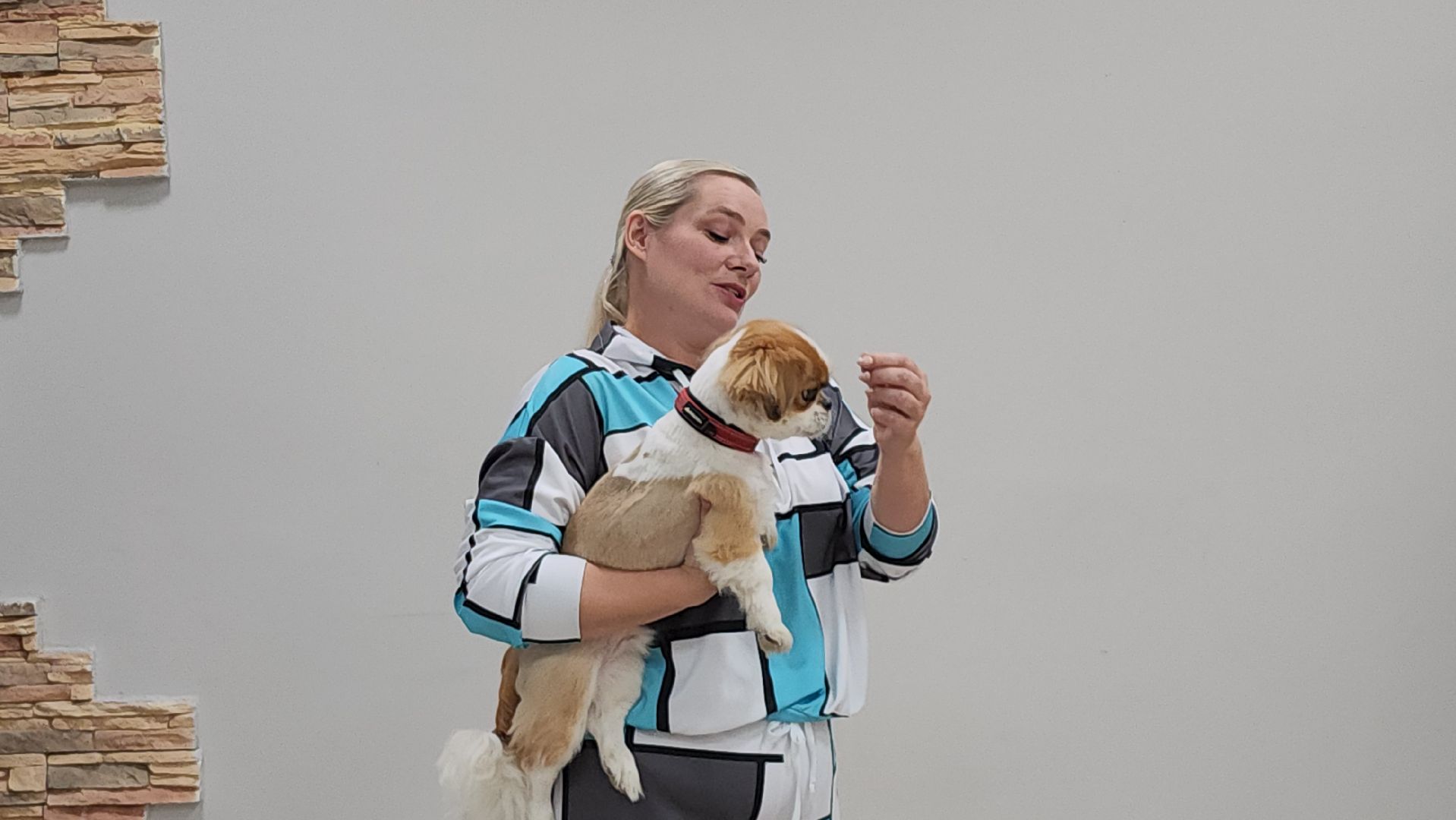 щёлково, Хвостатый актер, Собака-актер, Собака на сцене,