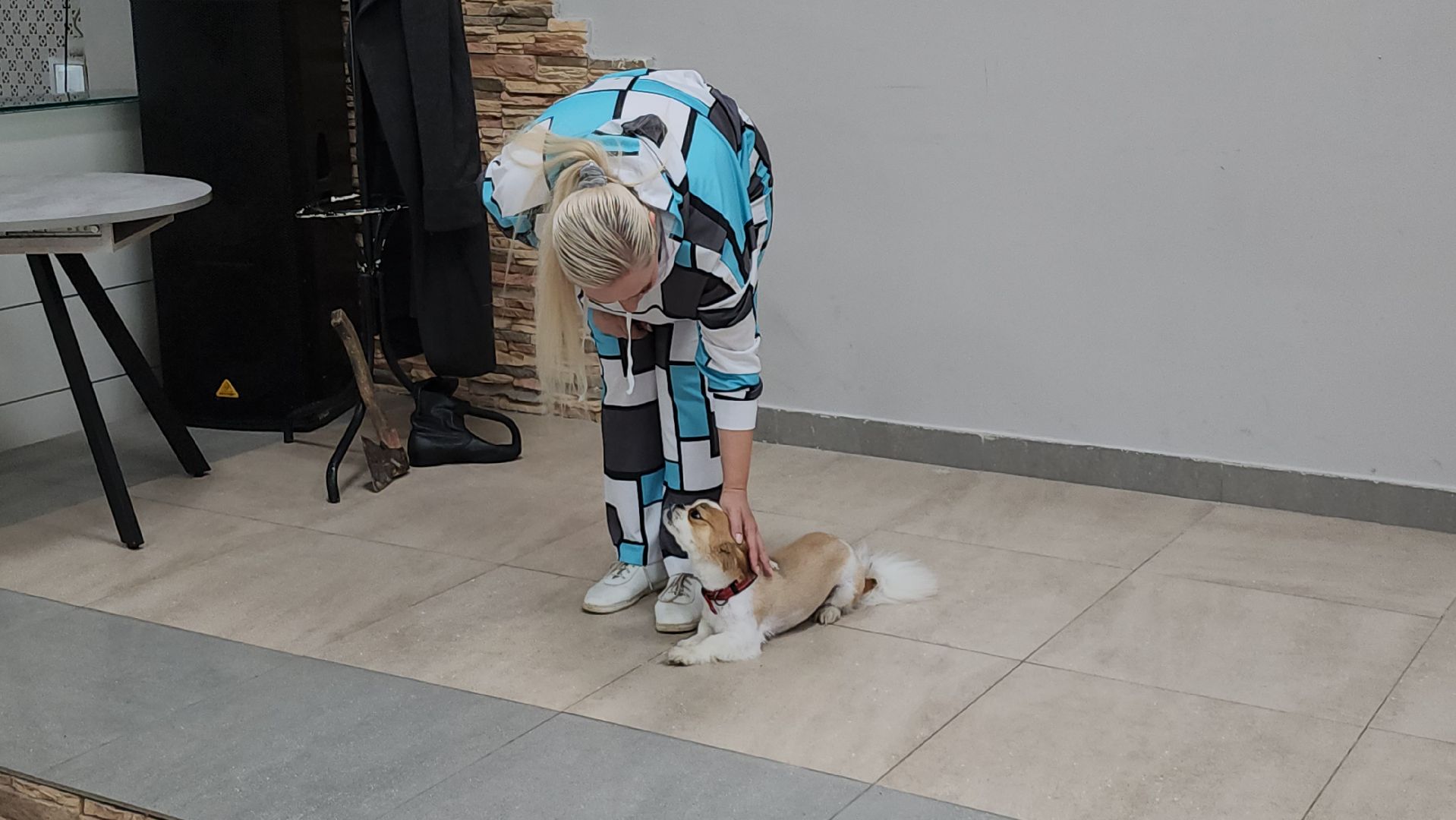 щёлково, Хвостатый актер, Собака-актер, Собака на сцене,