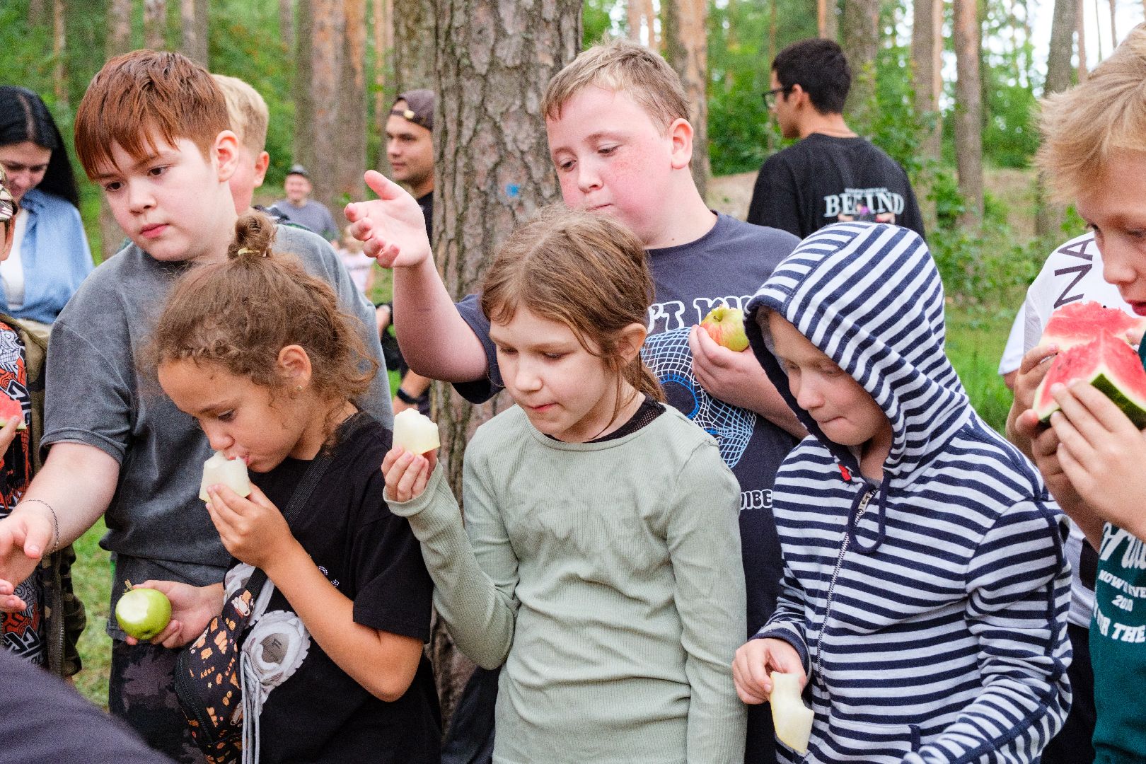 спорт, лазертаг, лыткарино, fight family, волкуша,