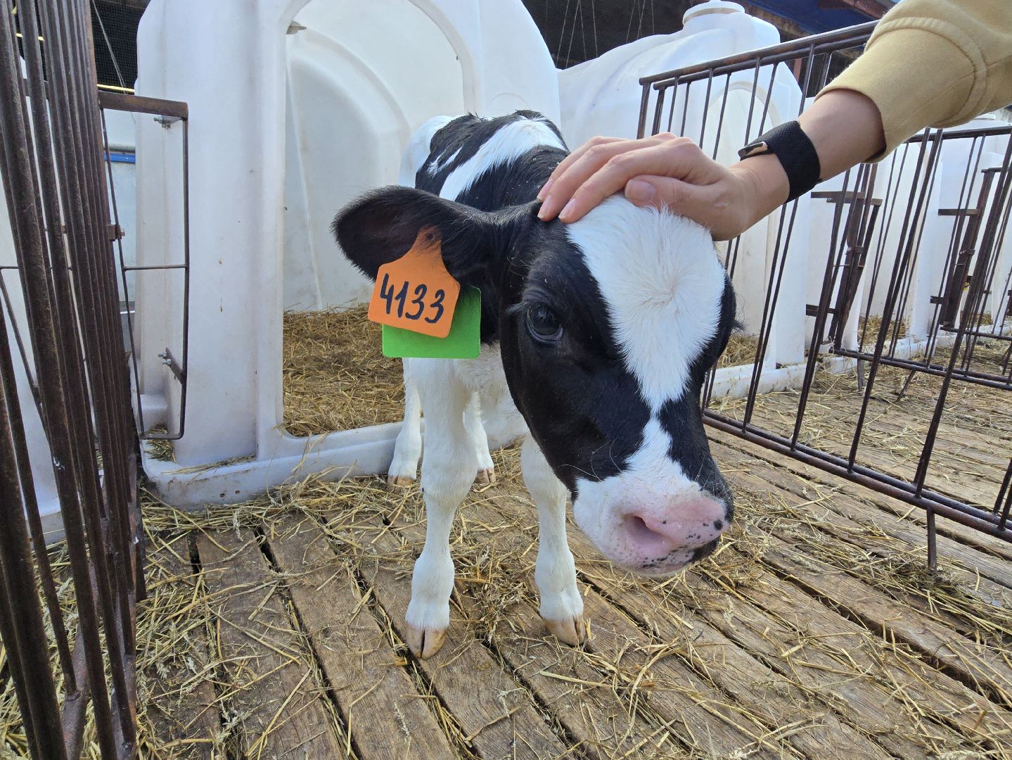 Коломна, Озеры, агрохолдинг,