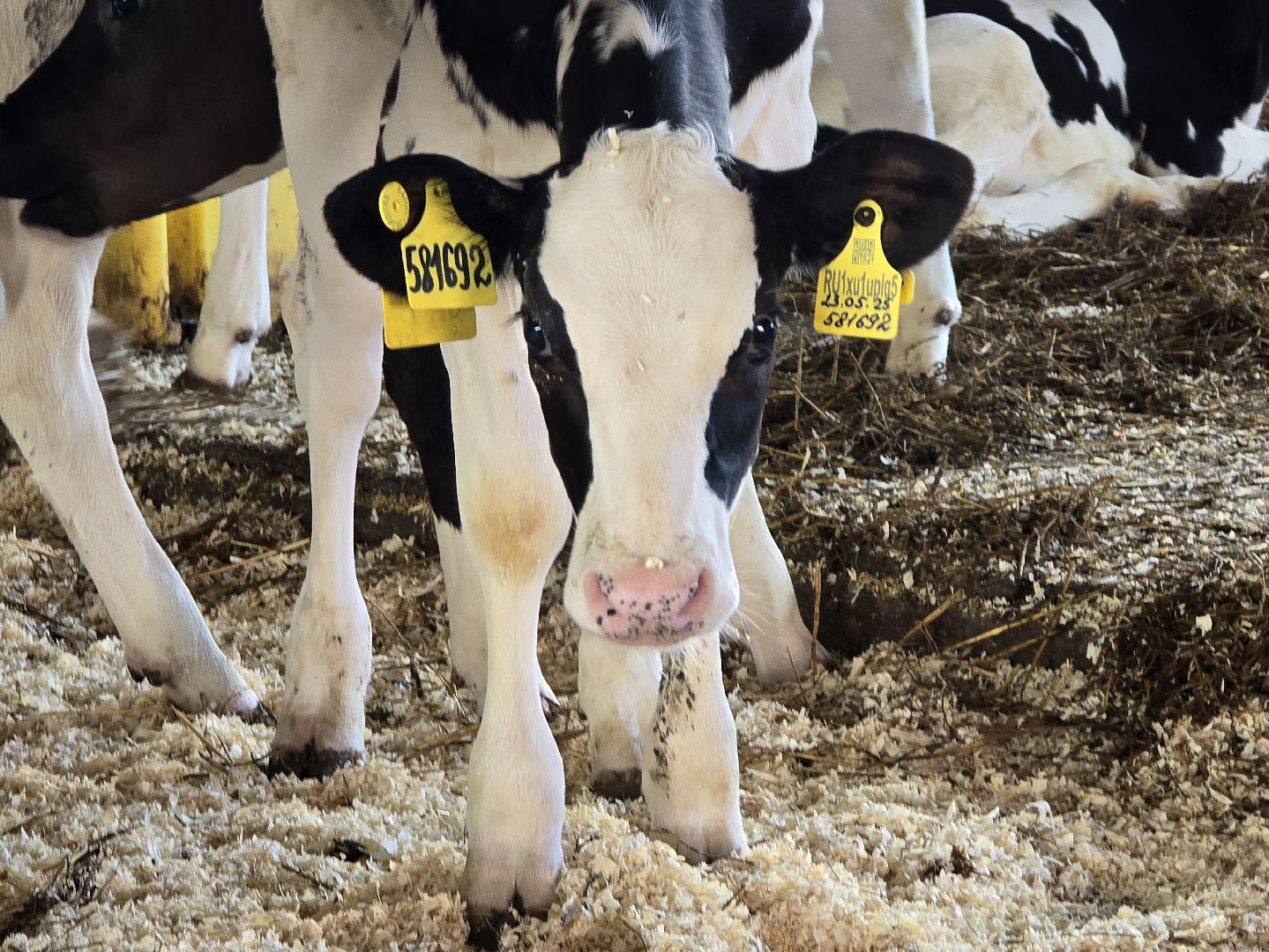 Коломна, Озеры, агрохолдинг,