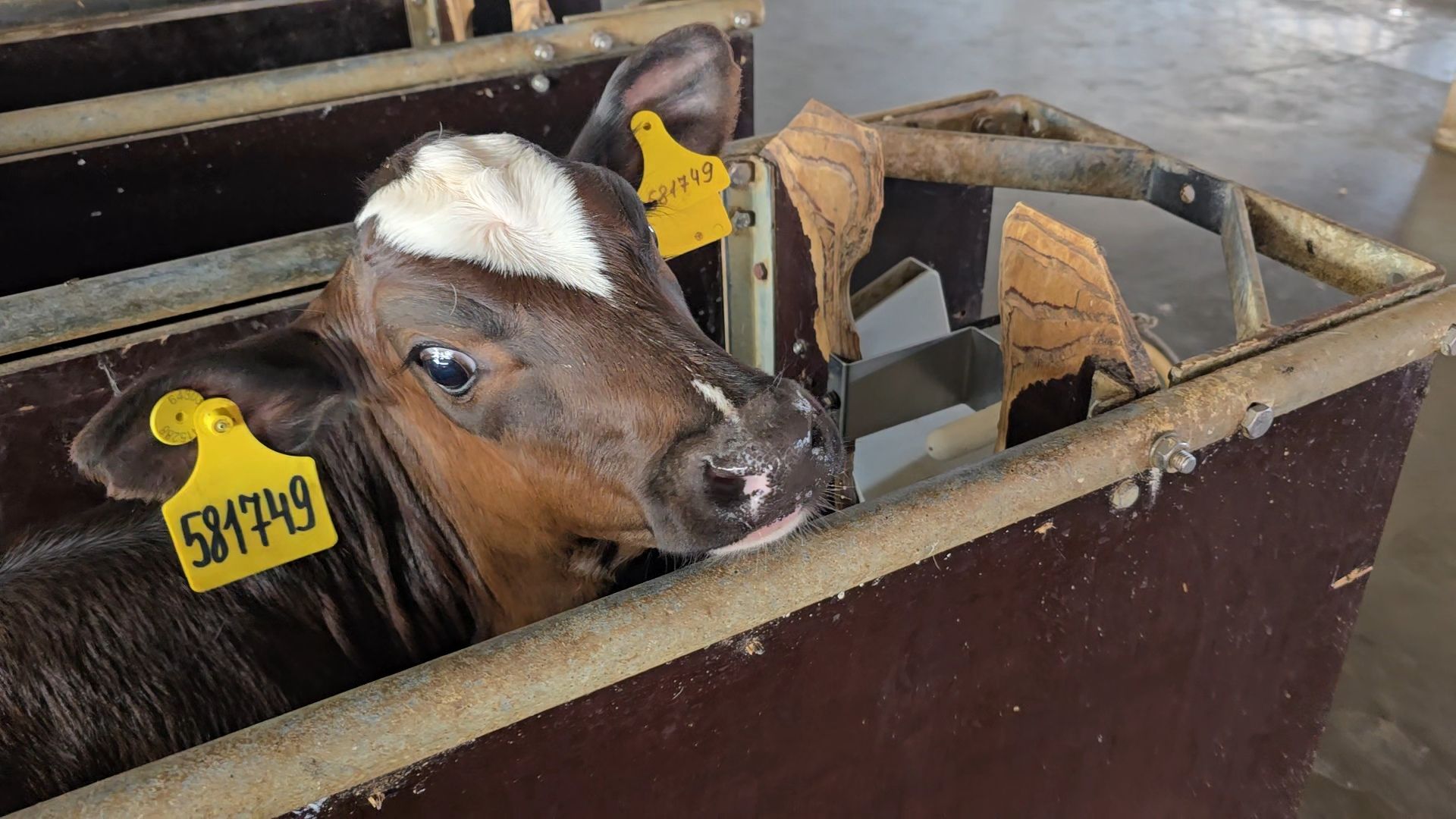 Коломна, Озеры, агрохолдинг,