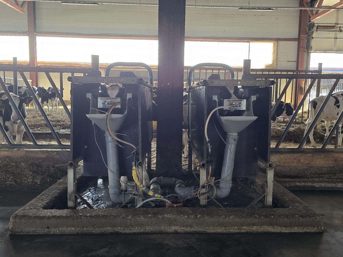 Коломна, Озеры, агрохолдинг,