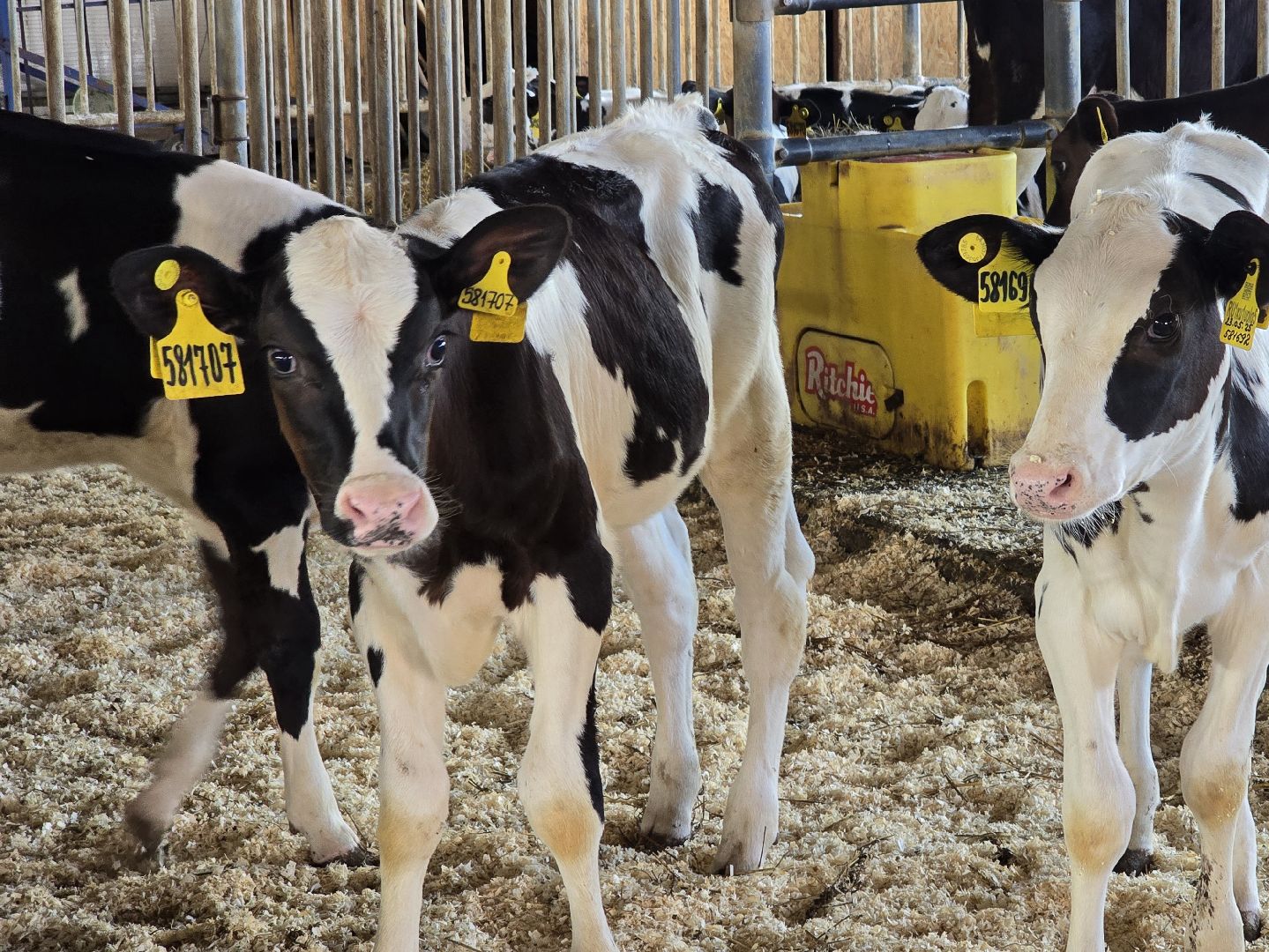 Коломна, Озеры, агрохолдинг,