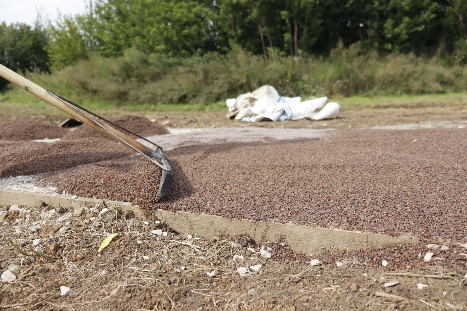 зарайск, строительство, тротуар,  благоустройство 2025,