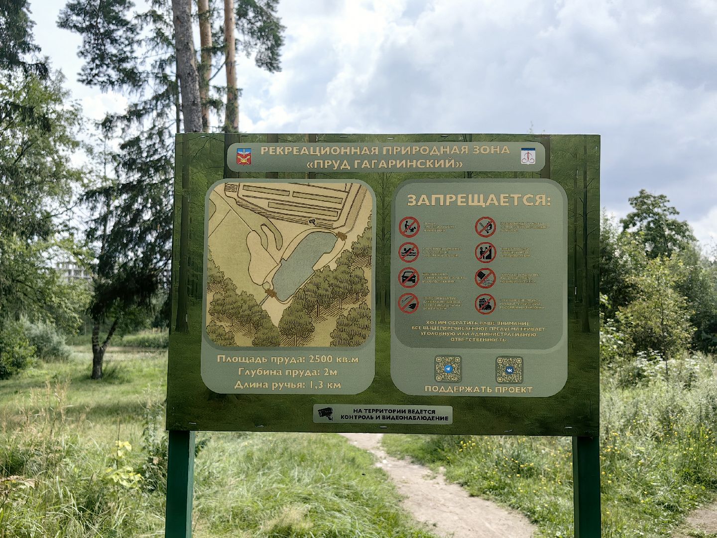 карп, пруд, водоем, активист, дом для уток, кувшинка,