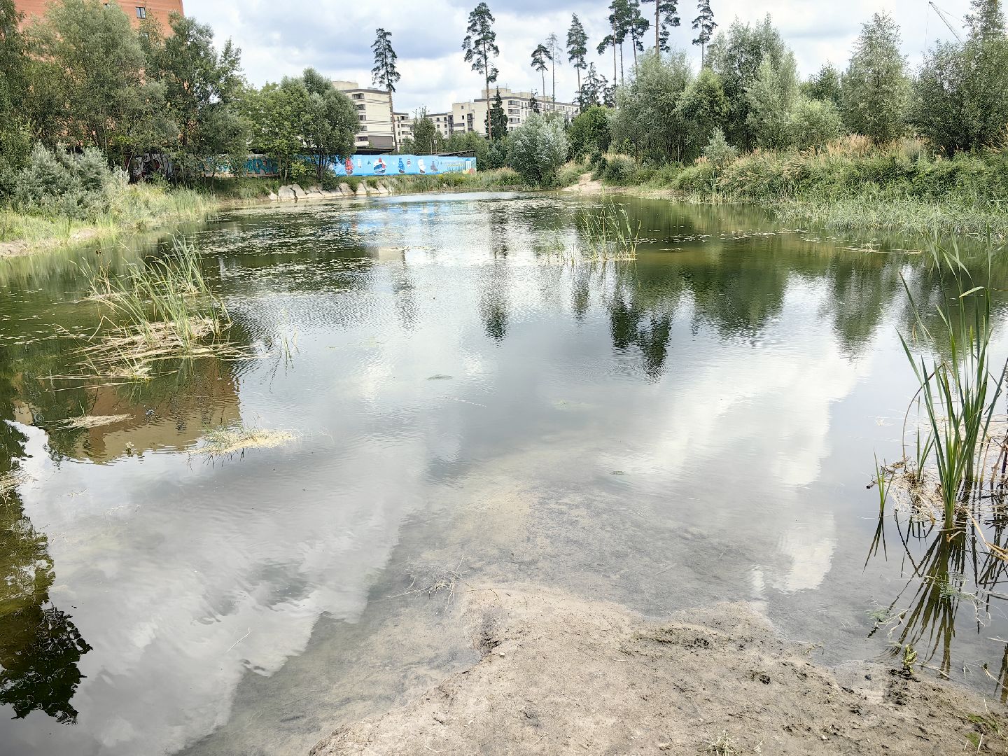 карп, пруд, водоем, активист, дом для уток, кувшинка,