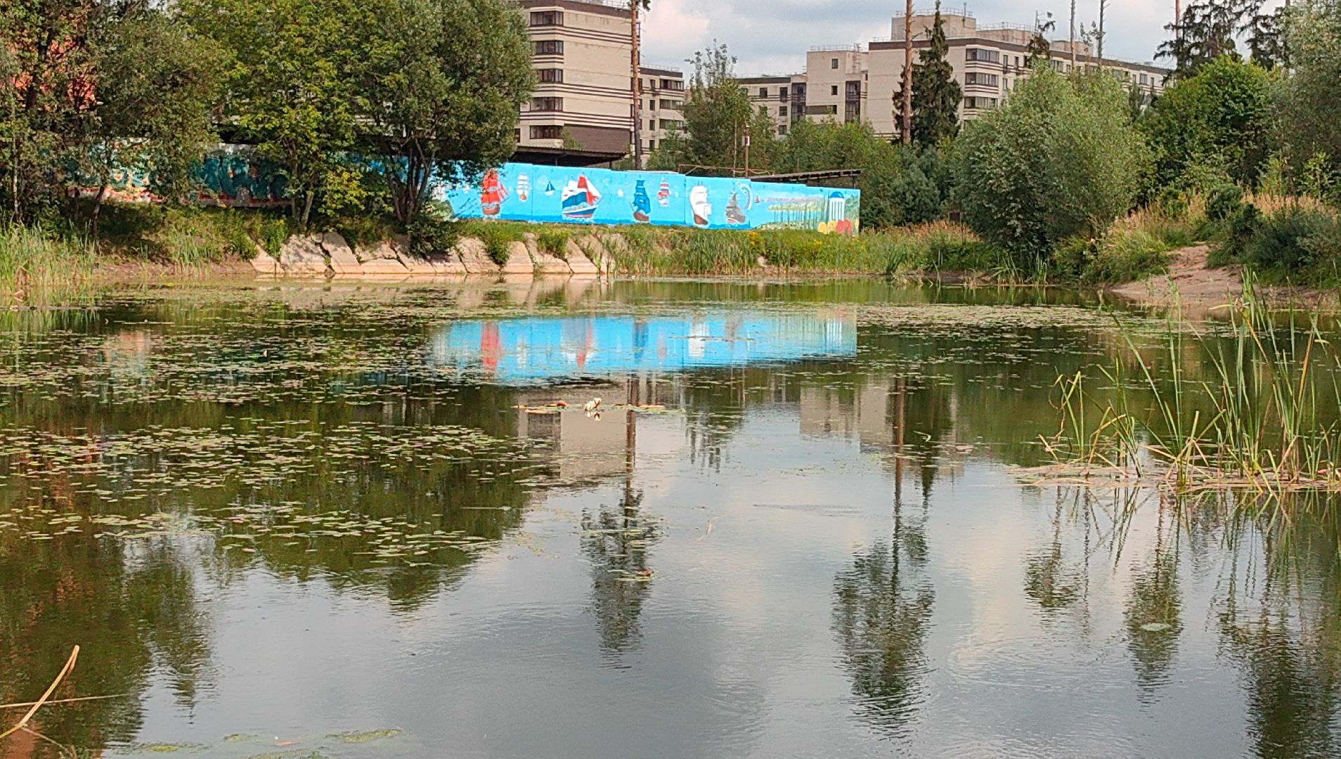 карп, пруд, водоем, активист, дом для уток, кувшинка,