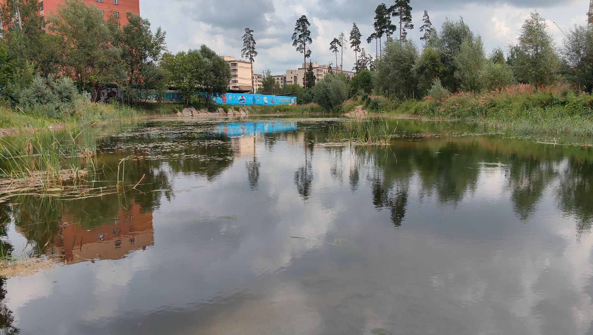 карп, пруд, водоем, активист, дом для уток, кувшинка,