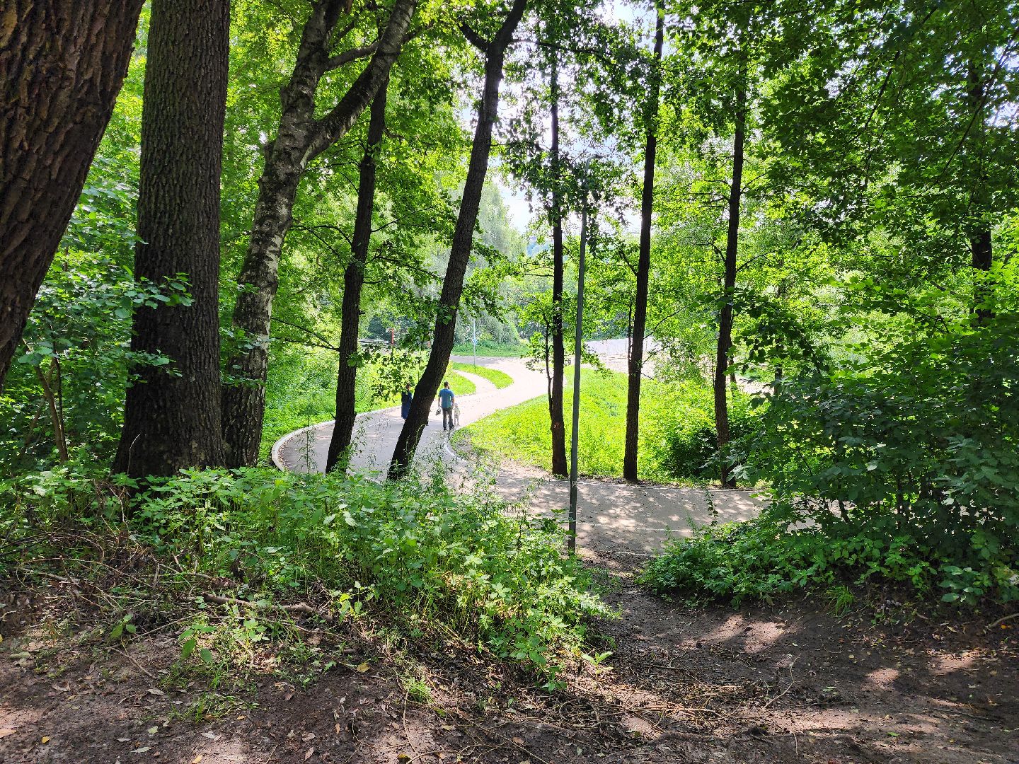 раменское, благоустройство, раменский городской парк, благоустройство северного берега озера борисоглебское ,
