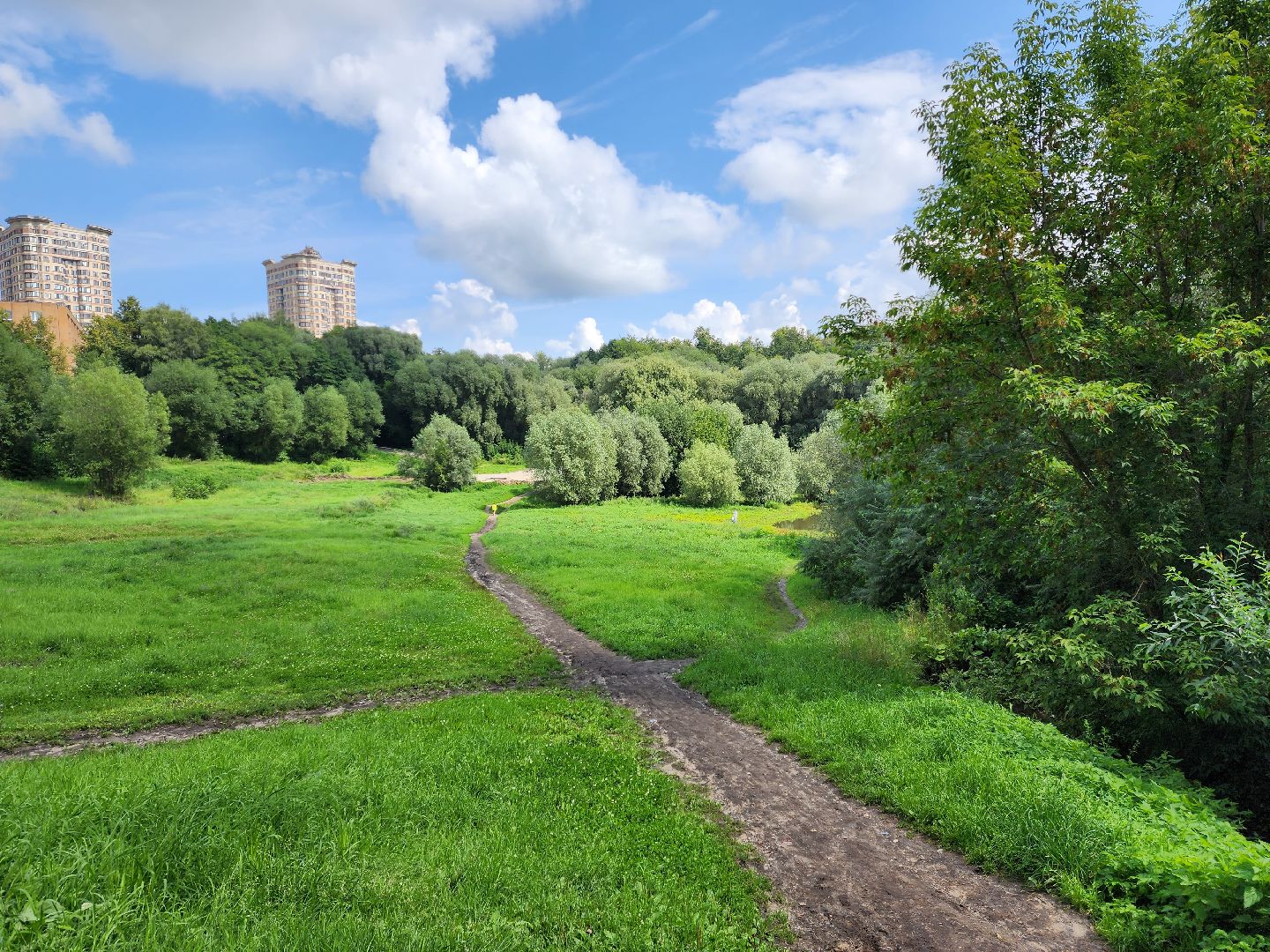 раменское, благоустройство, раменский городской парк, благоустройство северного берега озера борисоглебское ,