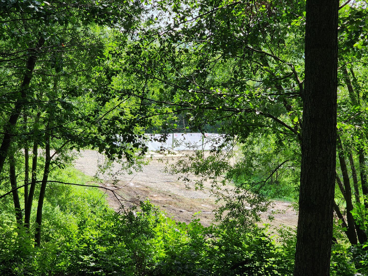 раменское, благоустройство, раменский городской парк, благоустройство северного берега озера борисоглебское ,