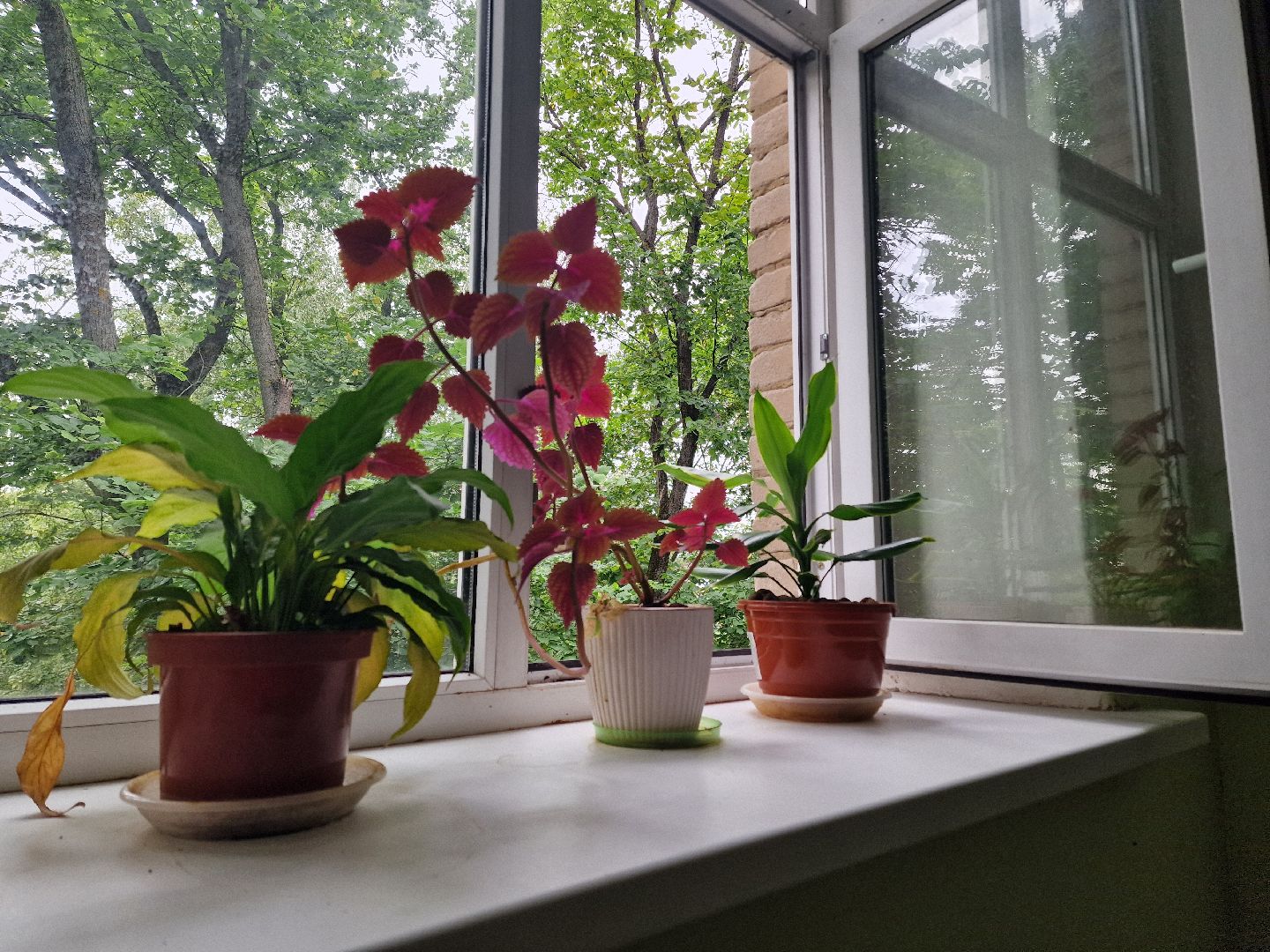 капремонт подъездов в Балашихе, Балашиха,