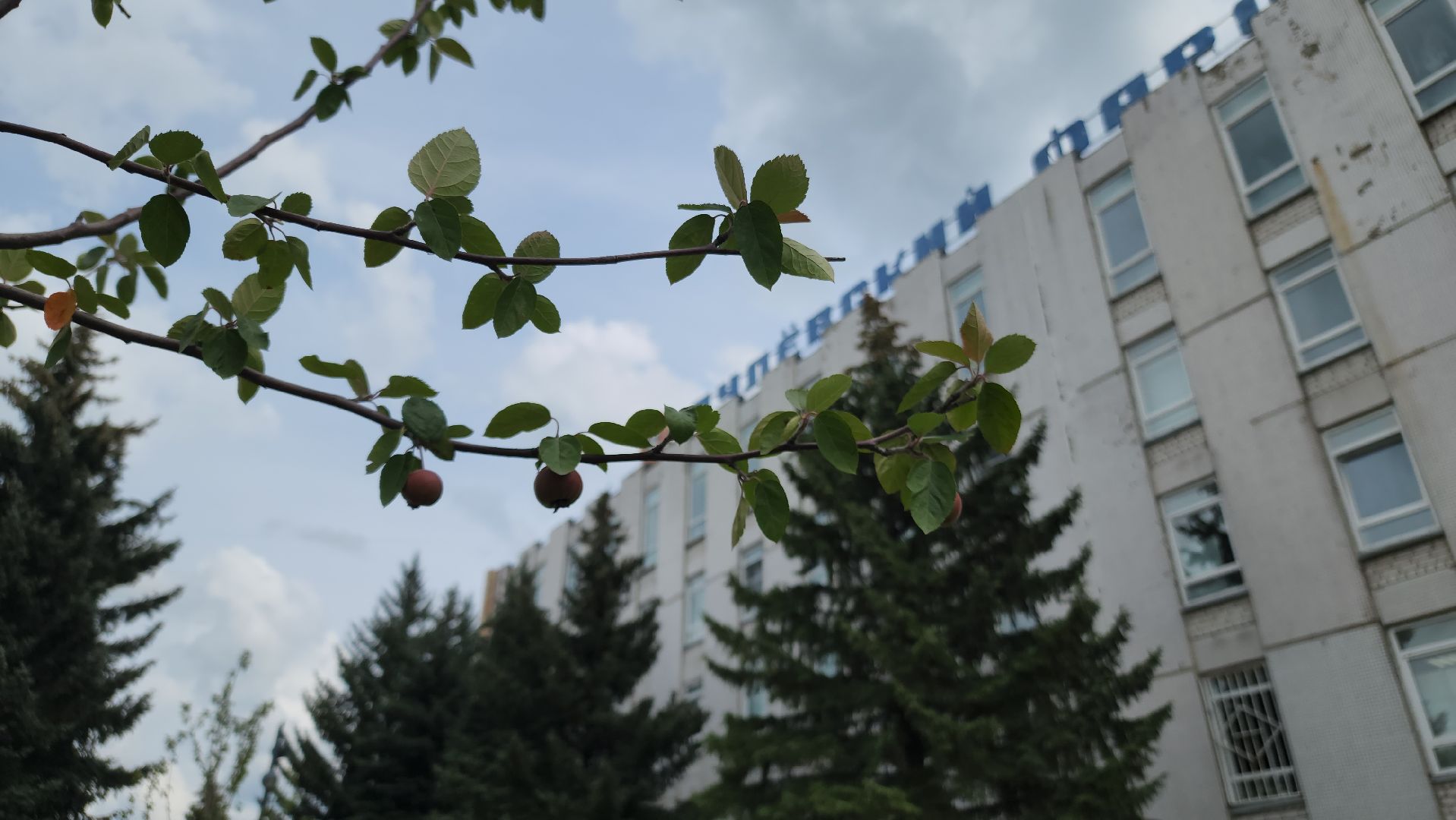 благоустройство, ликино-дулево, орехово-зуевский округ,скверы подмосковья,