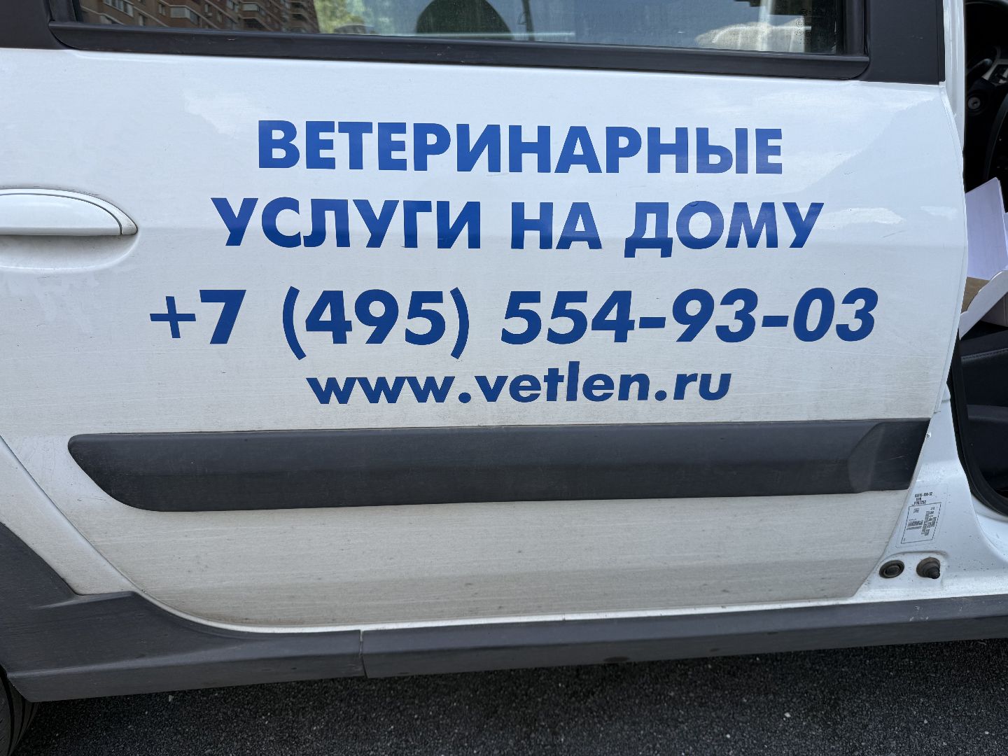 Люберцы, домашние животные, ветеринарная служба, Лесная опушка, Парк,